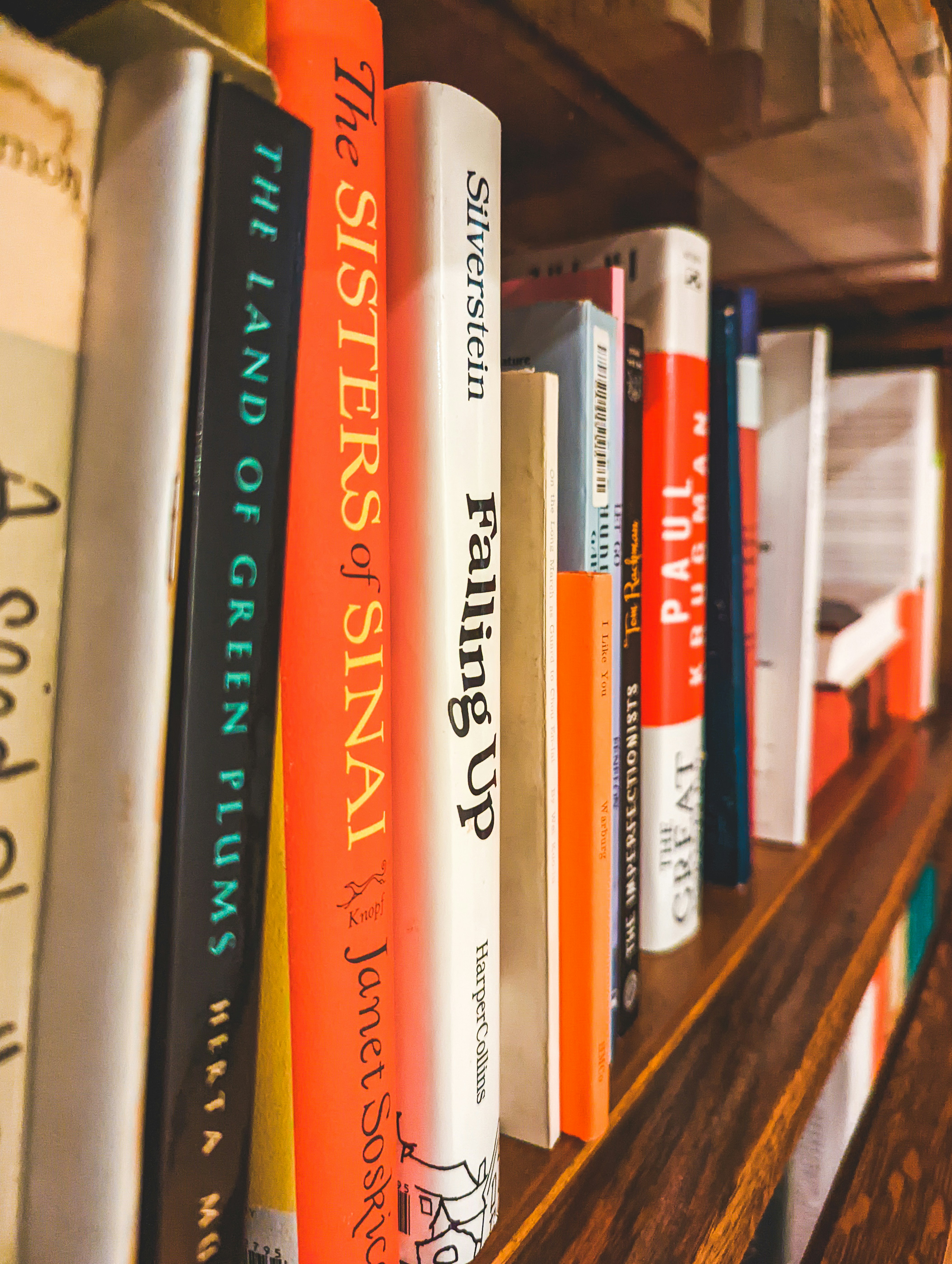 Photo by obionyeador