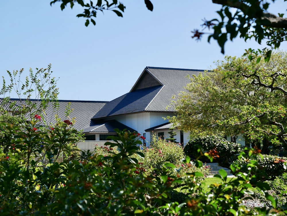 a house with a blue roof surrounded by trees