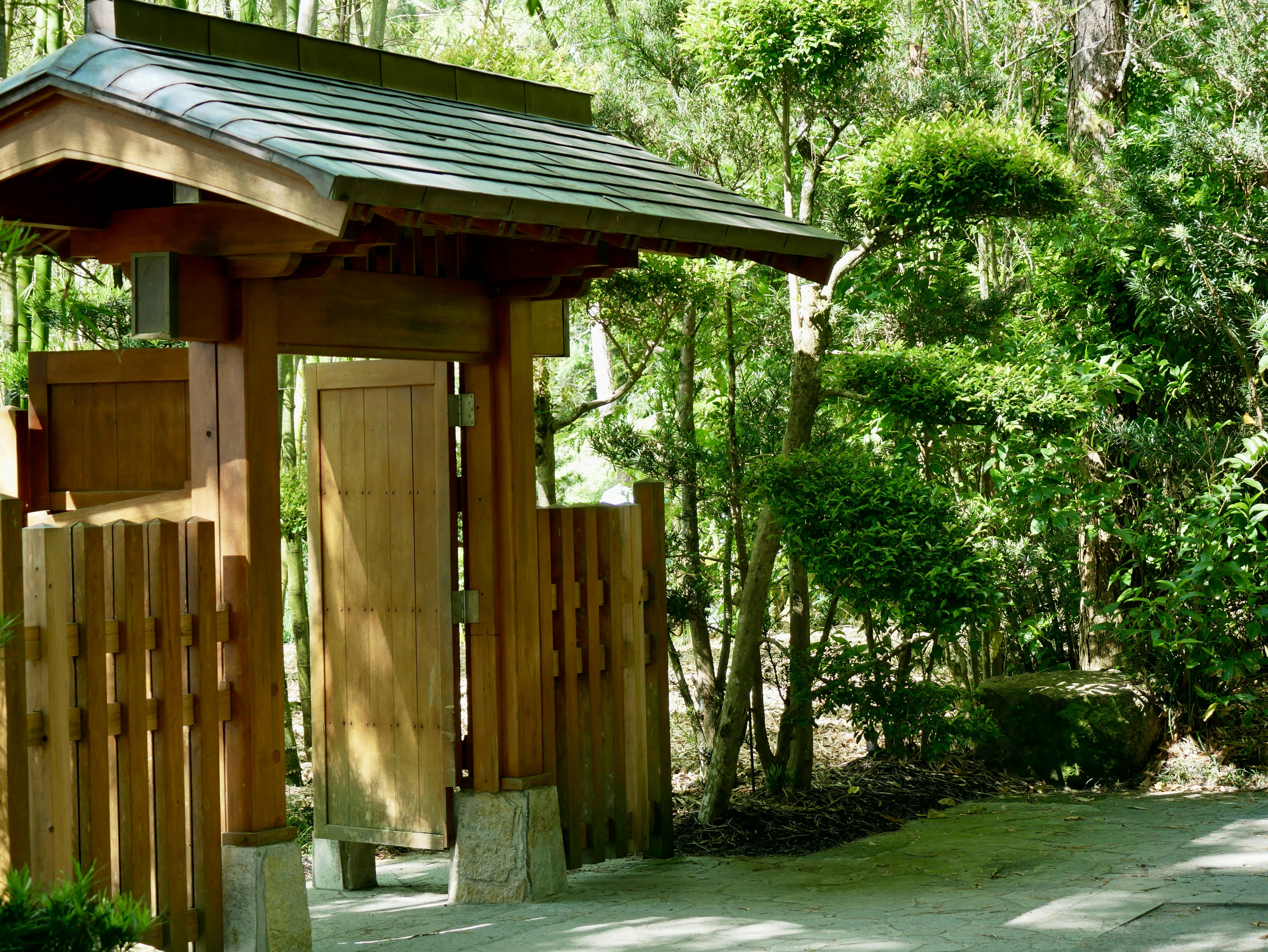 Japanese forest sauna and relaxation