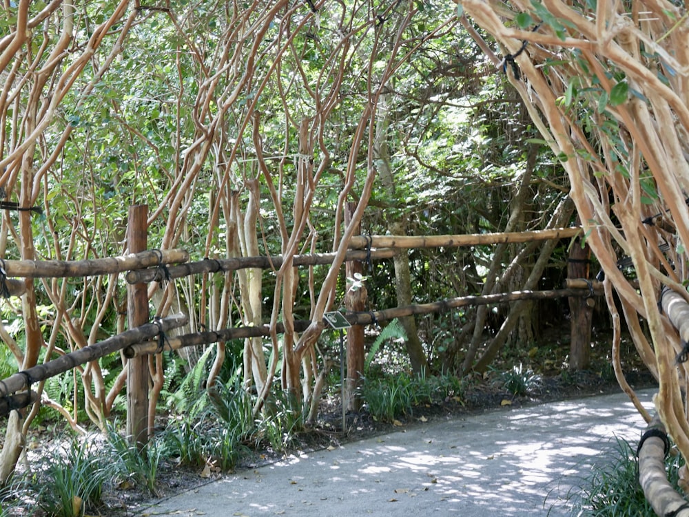 a wooden fence made out of branches in a garden