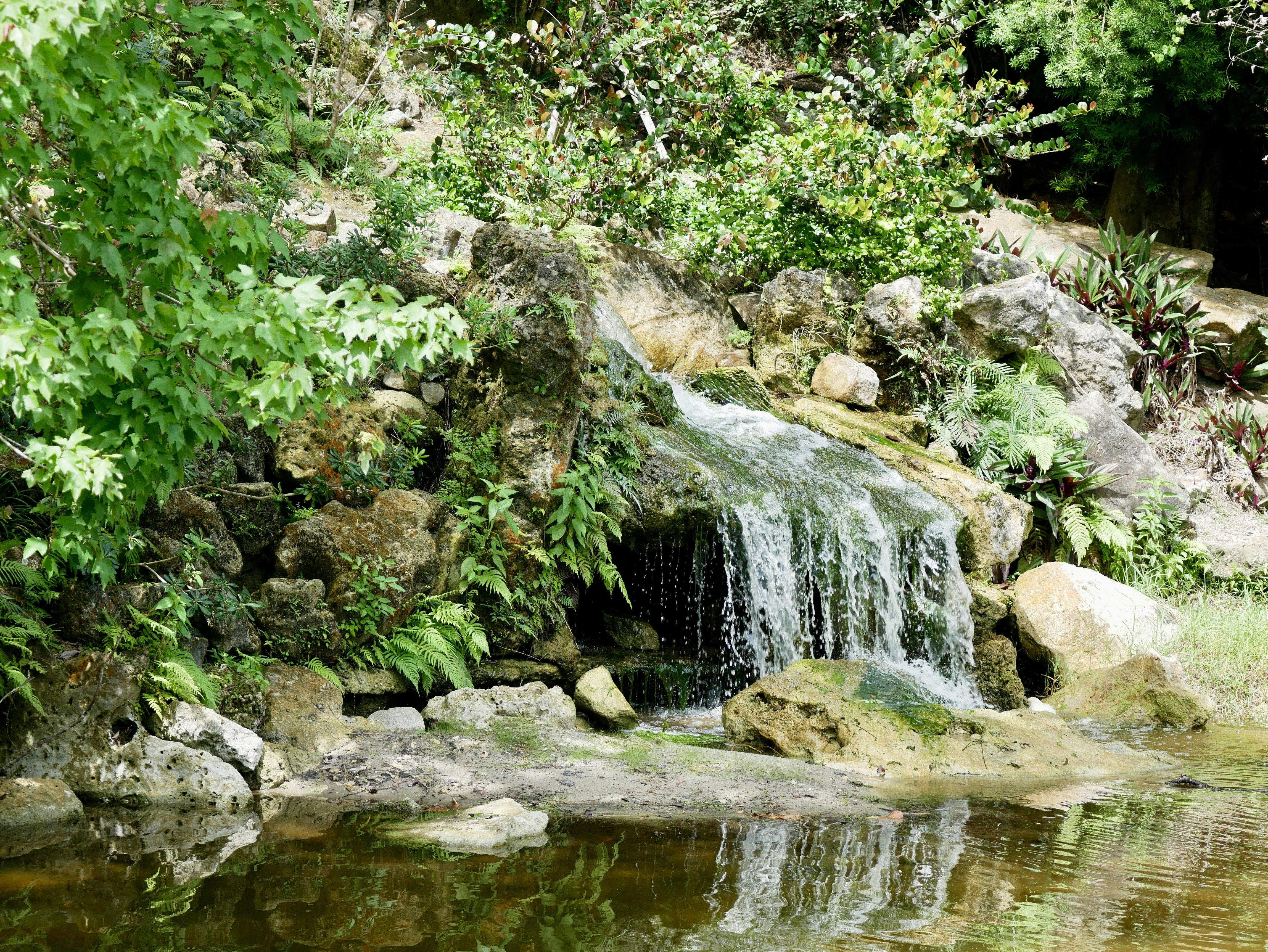 Groundwater Springs and Ecosystem Oases (image credits: unsplash)