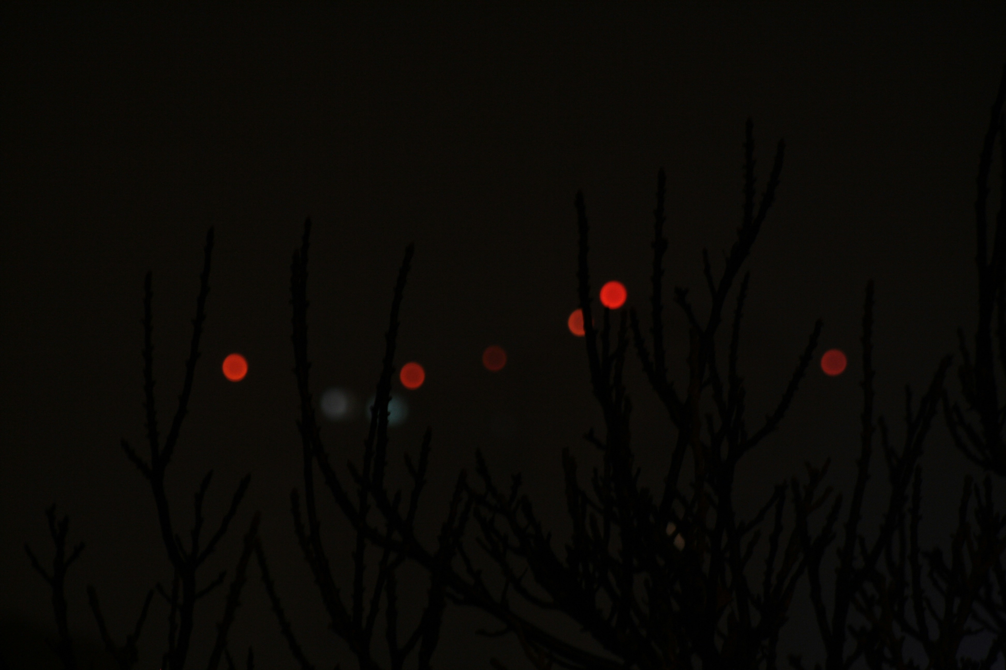 El eco de las luces muertas