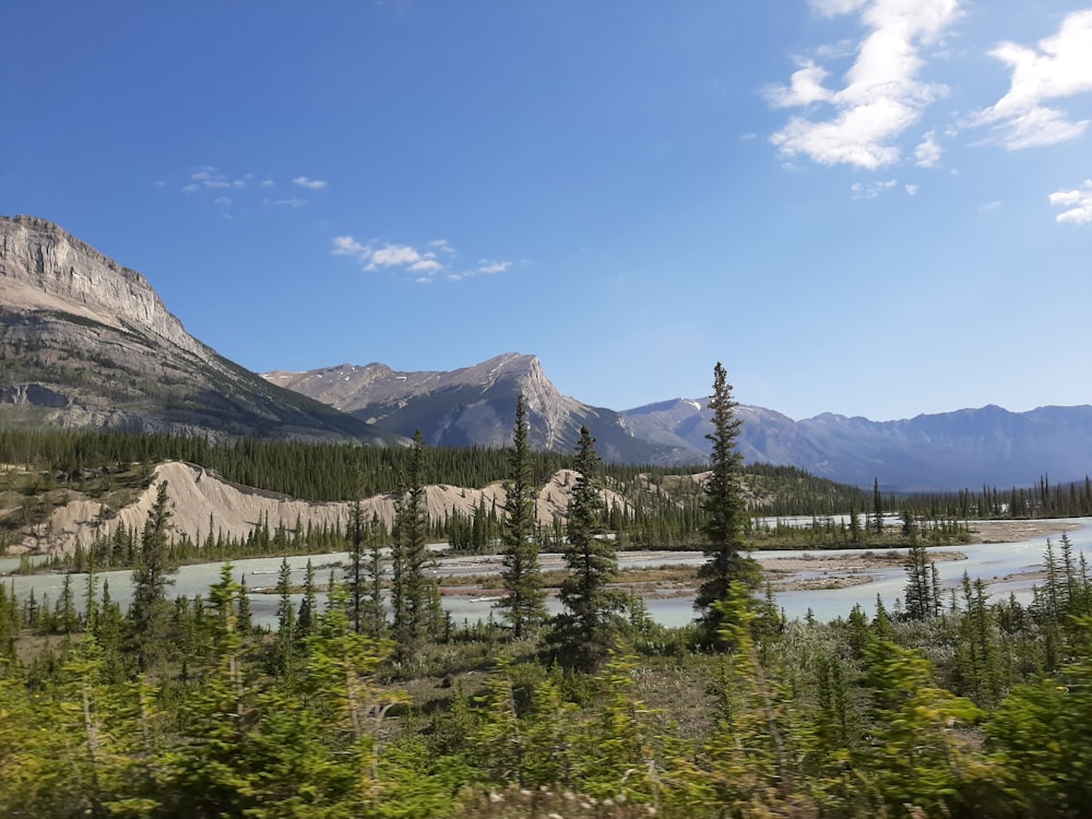 a view of a river and mountains from a train