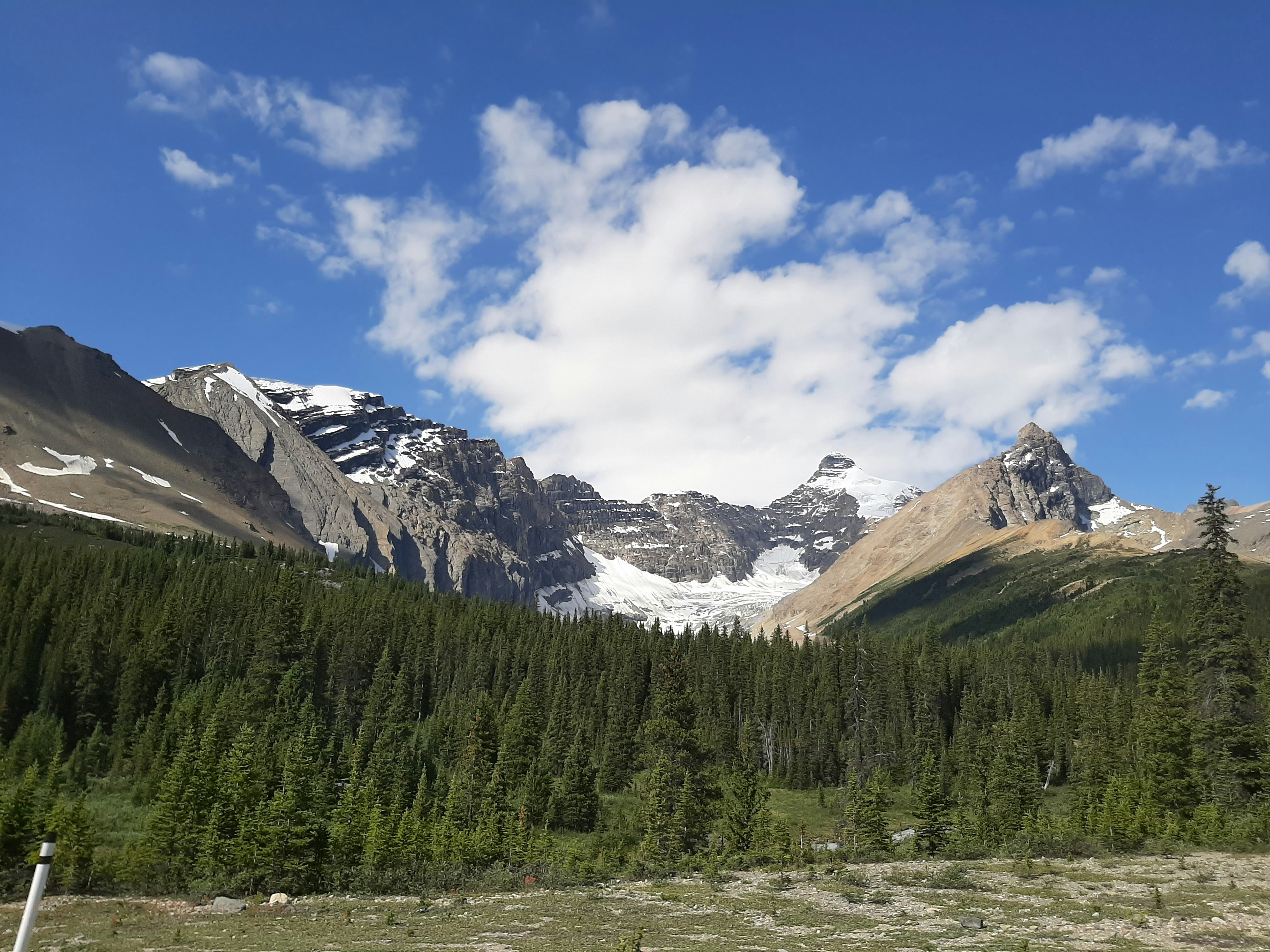 the mountains are covered in snow and pine trees