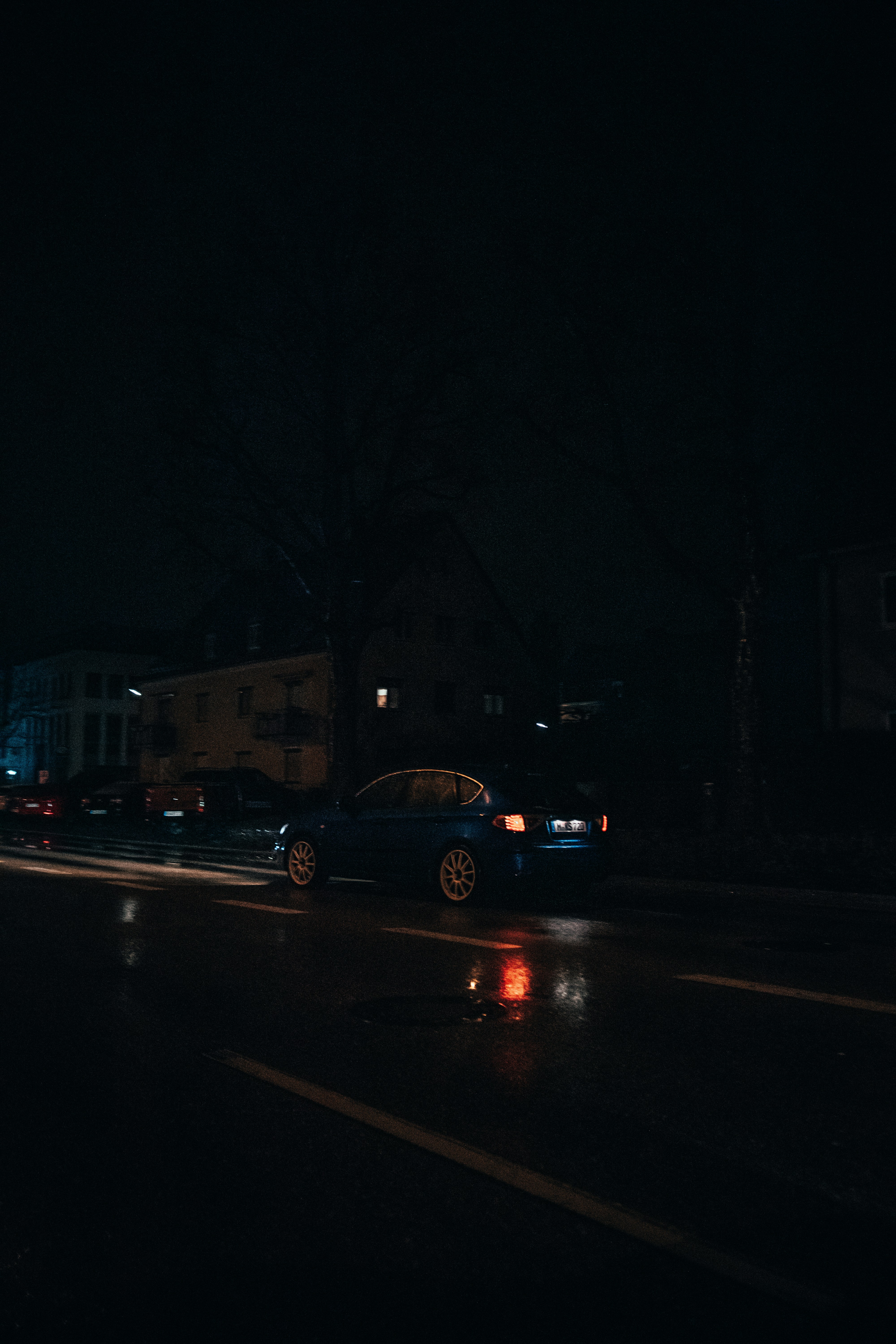 Photo by solbrigkevin