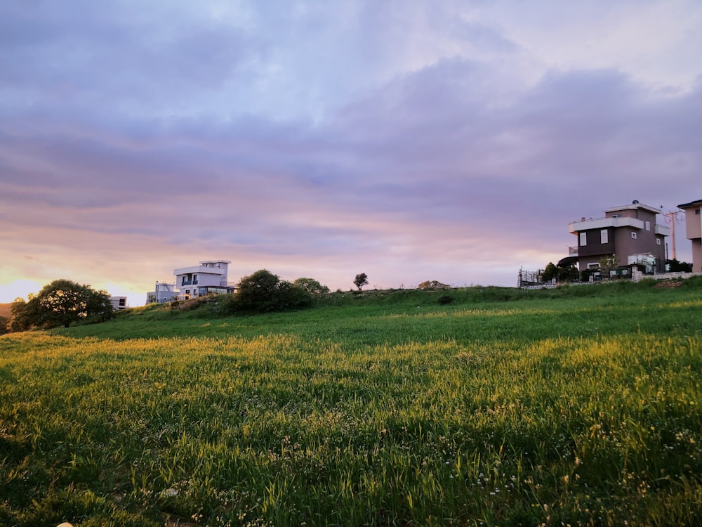 a grassy field with houses in the background