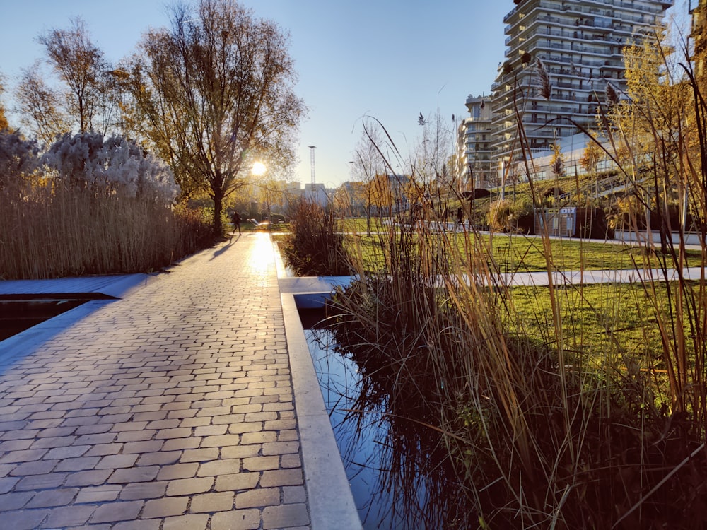 a brick path in a park with tall buildings in the background