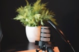 A microphone equipped with a pop filter stands prominently in front of a blurred background featuring lush green indoor plants in a white pot. The scene is set against a dark backdrop, enhancing the focus on the microphone and the pop filter.