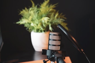 a microphone sitting on top of a table next to a potted plant
