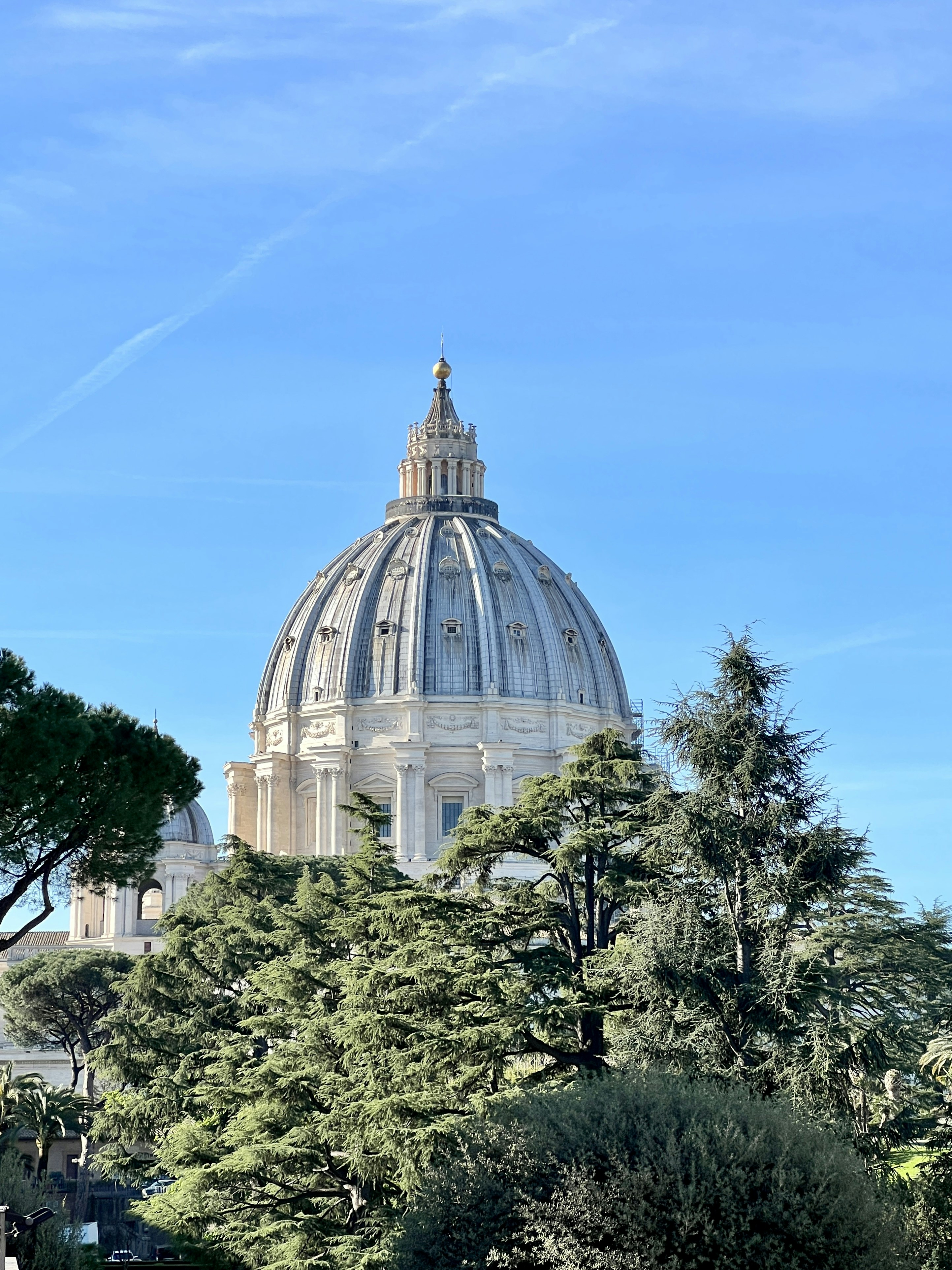 the dome of the building is surrounded by trees