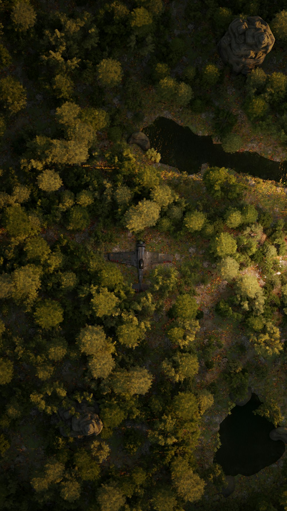 an aerial view of a lush green forest