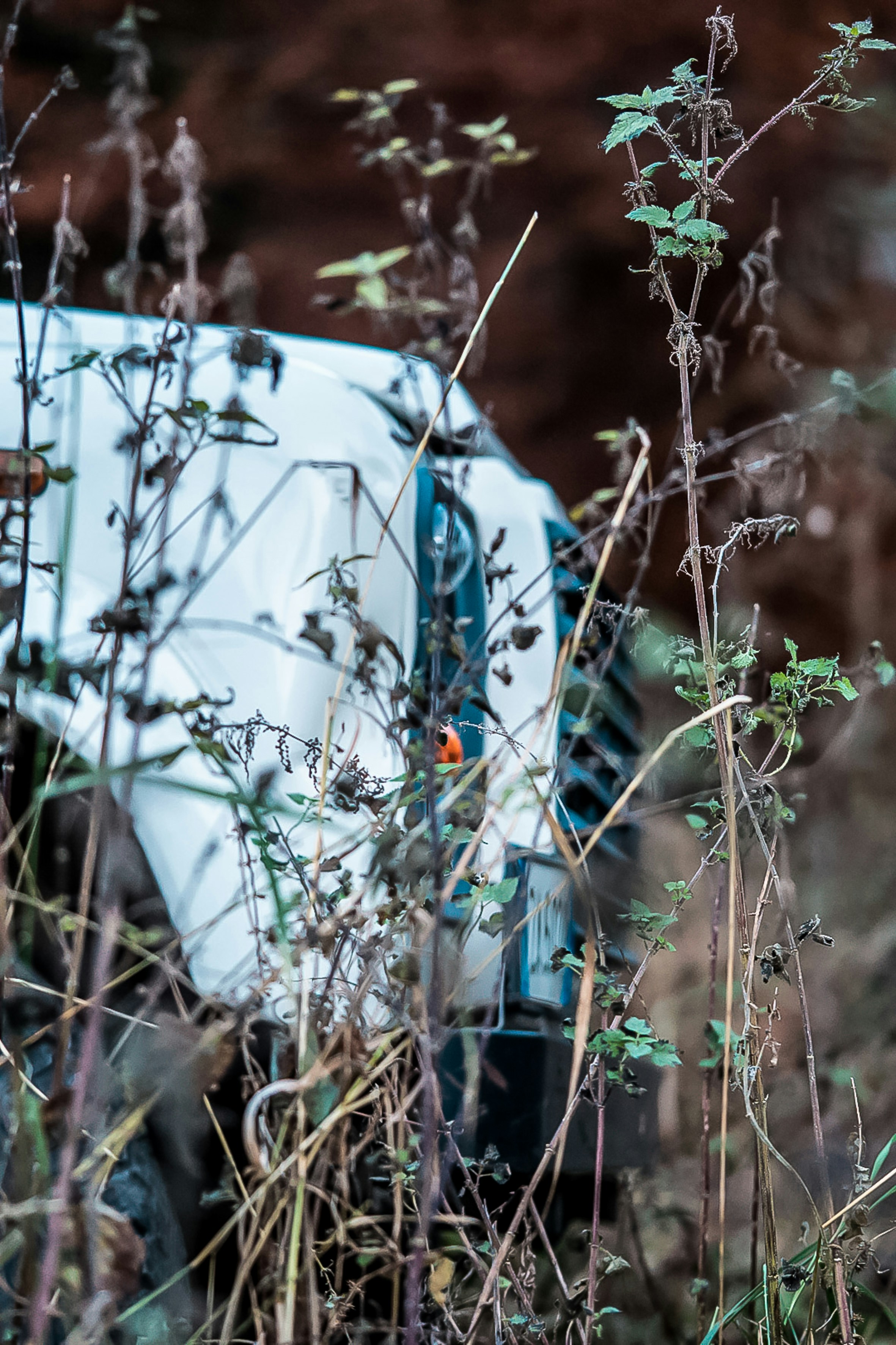 Photo by mattiafregnan95