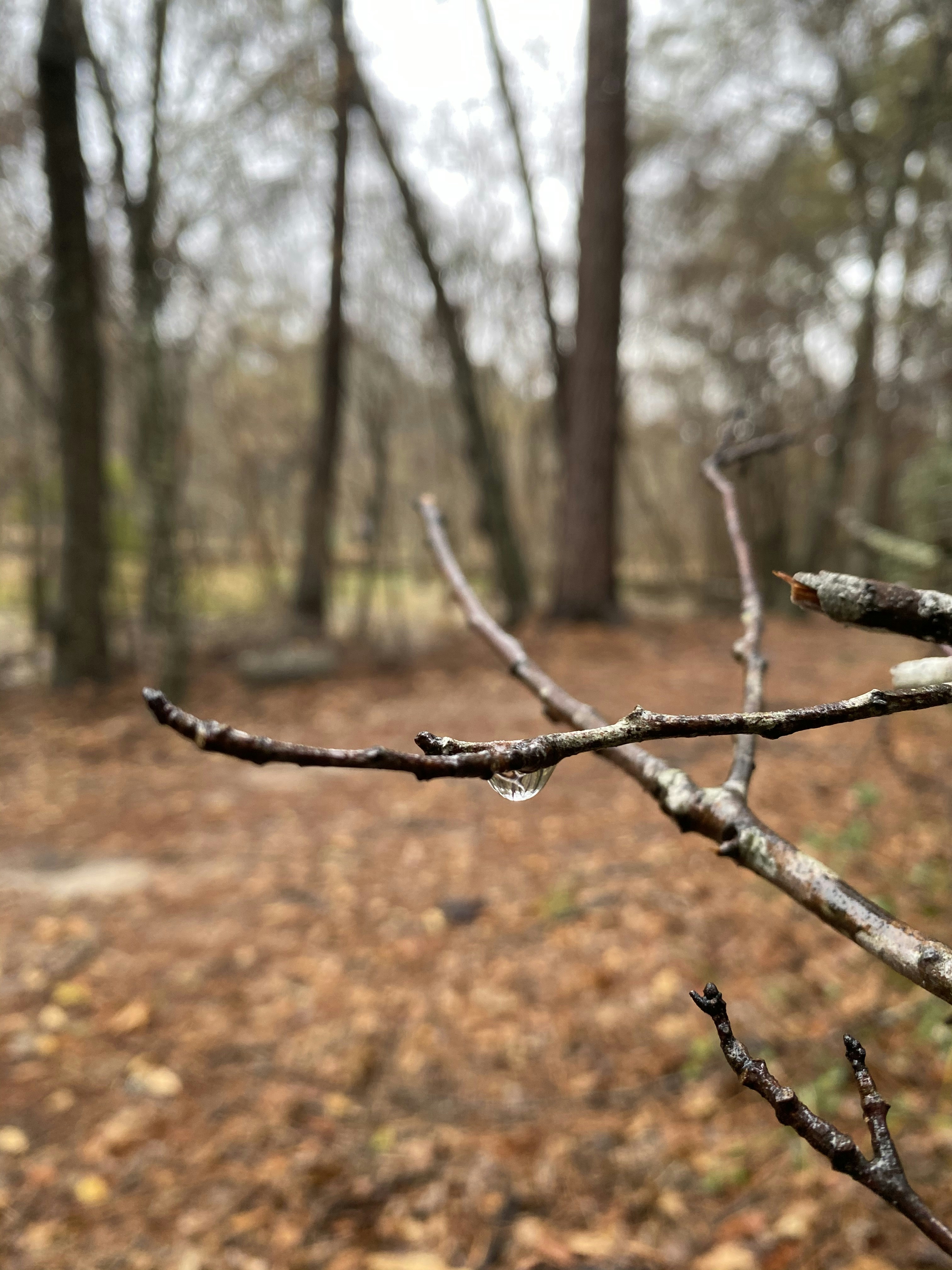 Photo by jason_baha_14