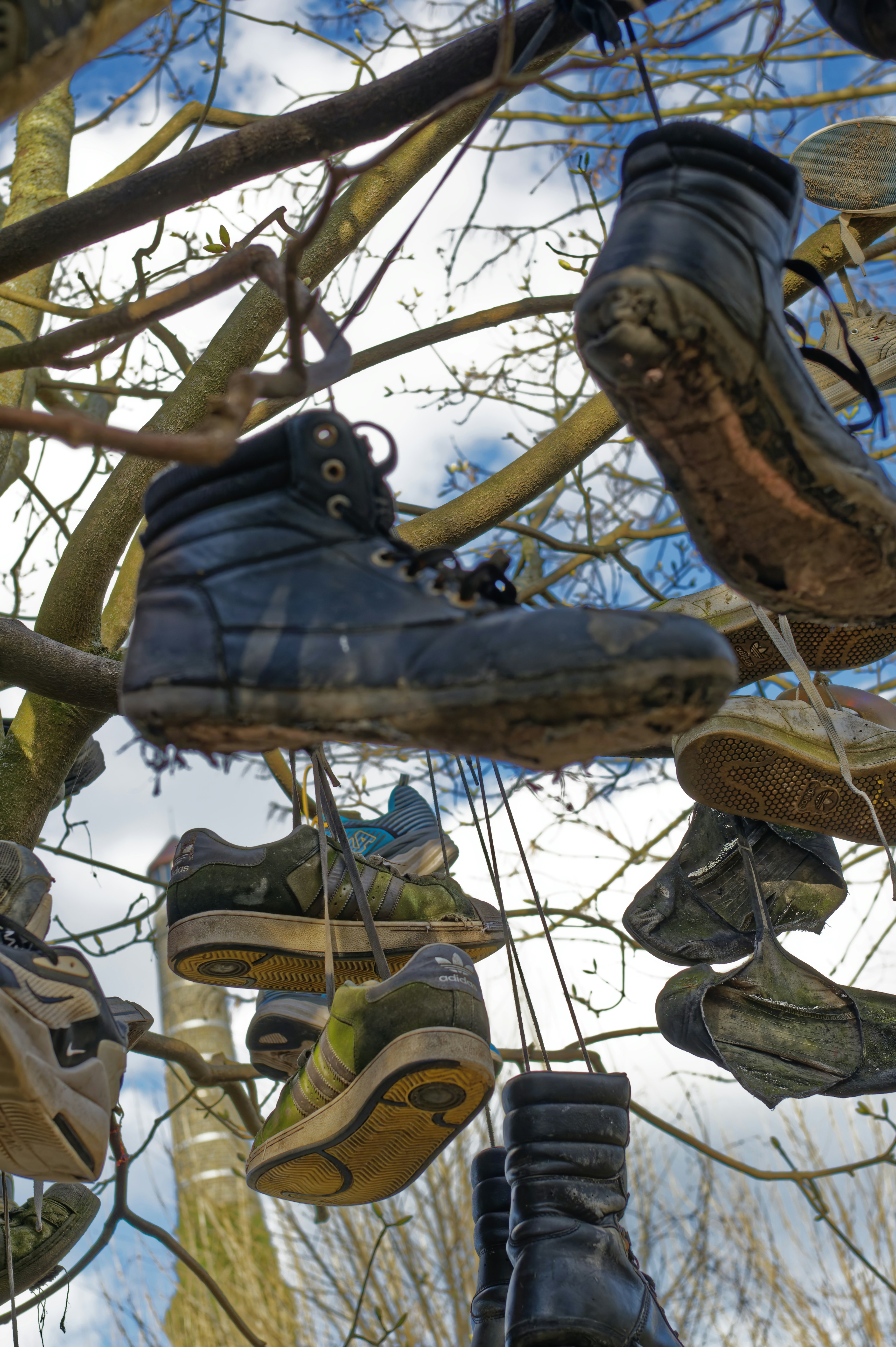 The Ultimate Guide to Shoe Trees: Types, Benefits, and Best Picks
