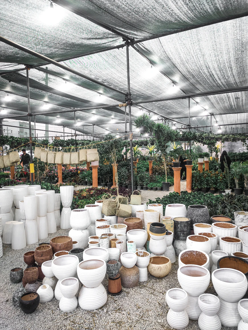 Various sized plastic pots
    used for starting a vegetable garden