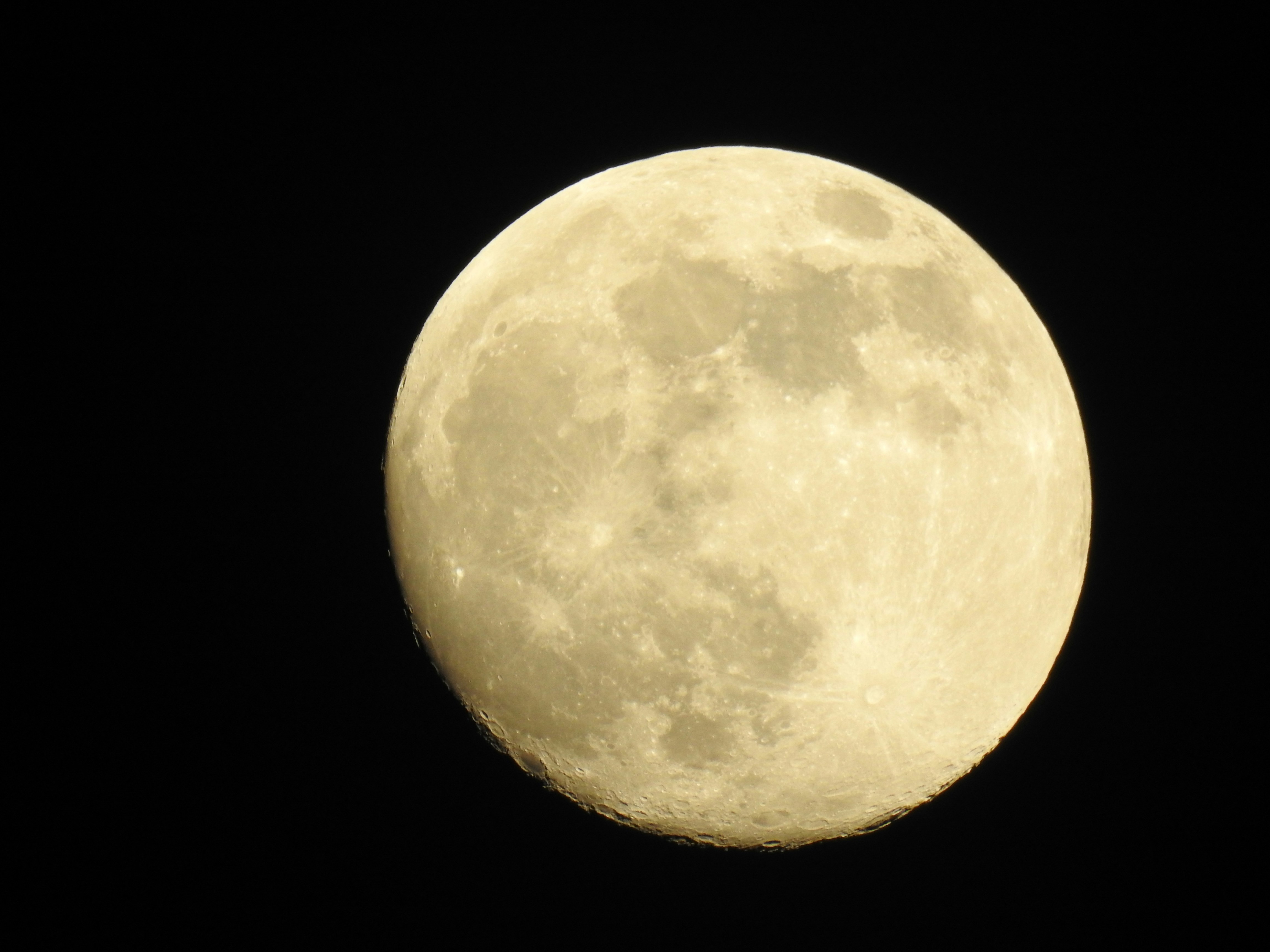 Photo by b3nstewartink