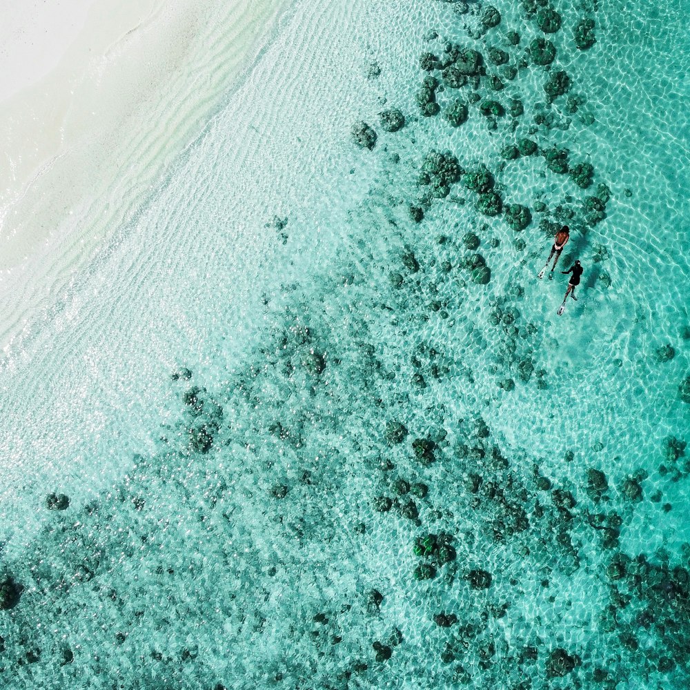 an aerial view of two people in a body of water