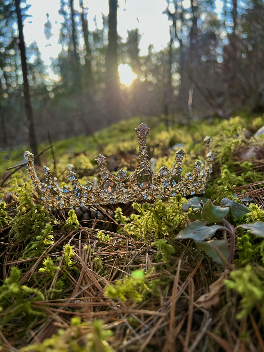 a tiara sitting on the ground in the woods
