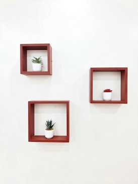 three red square shelves with plants on them