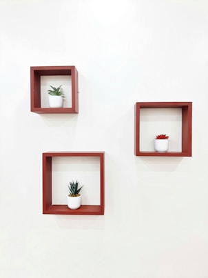 three red square shelves with plants on them
