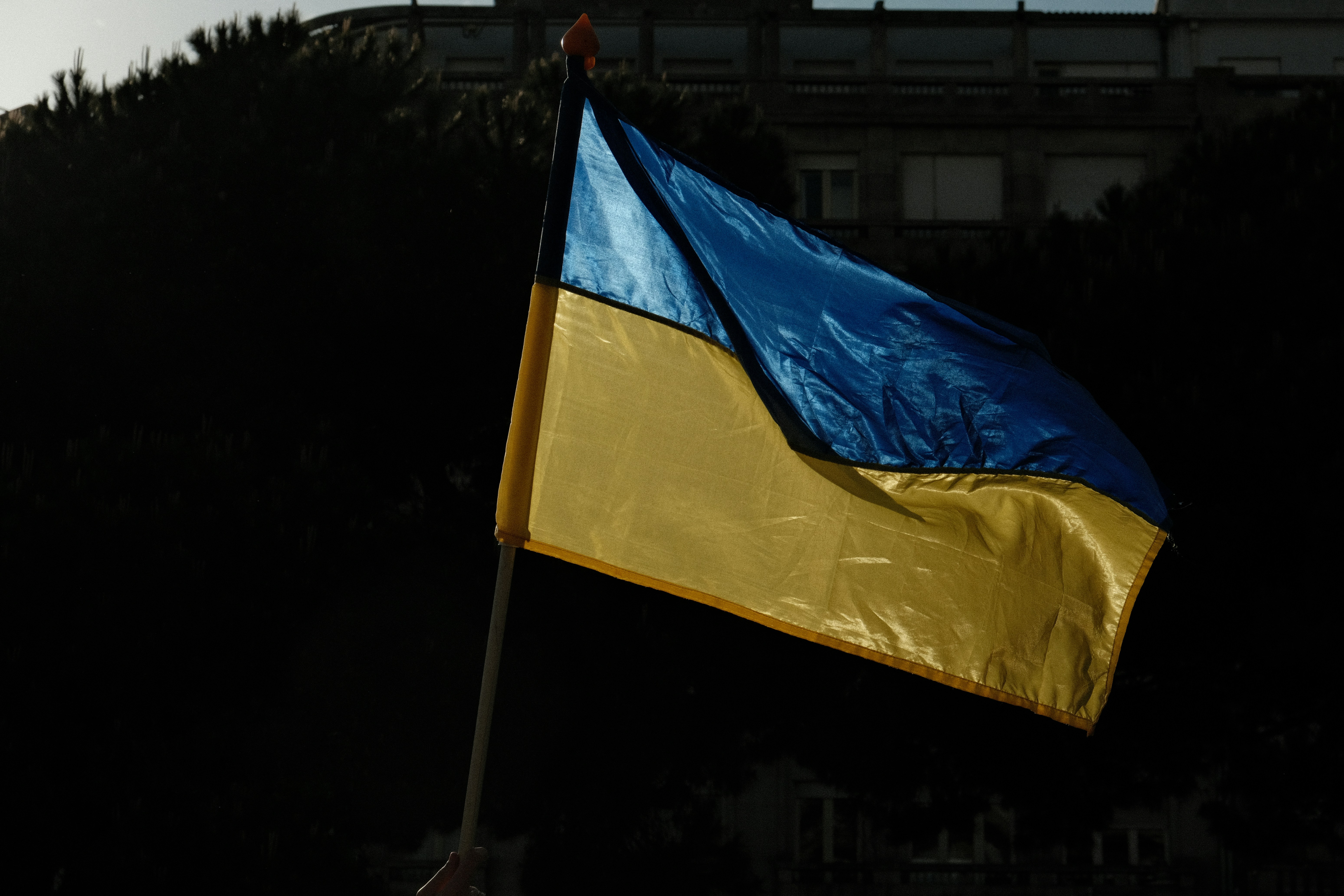 a blue and yellow flag flying in front of a building
