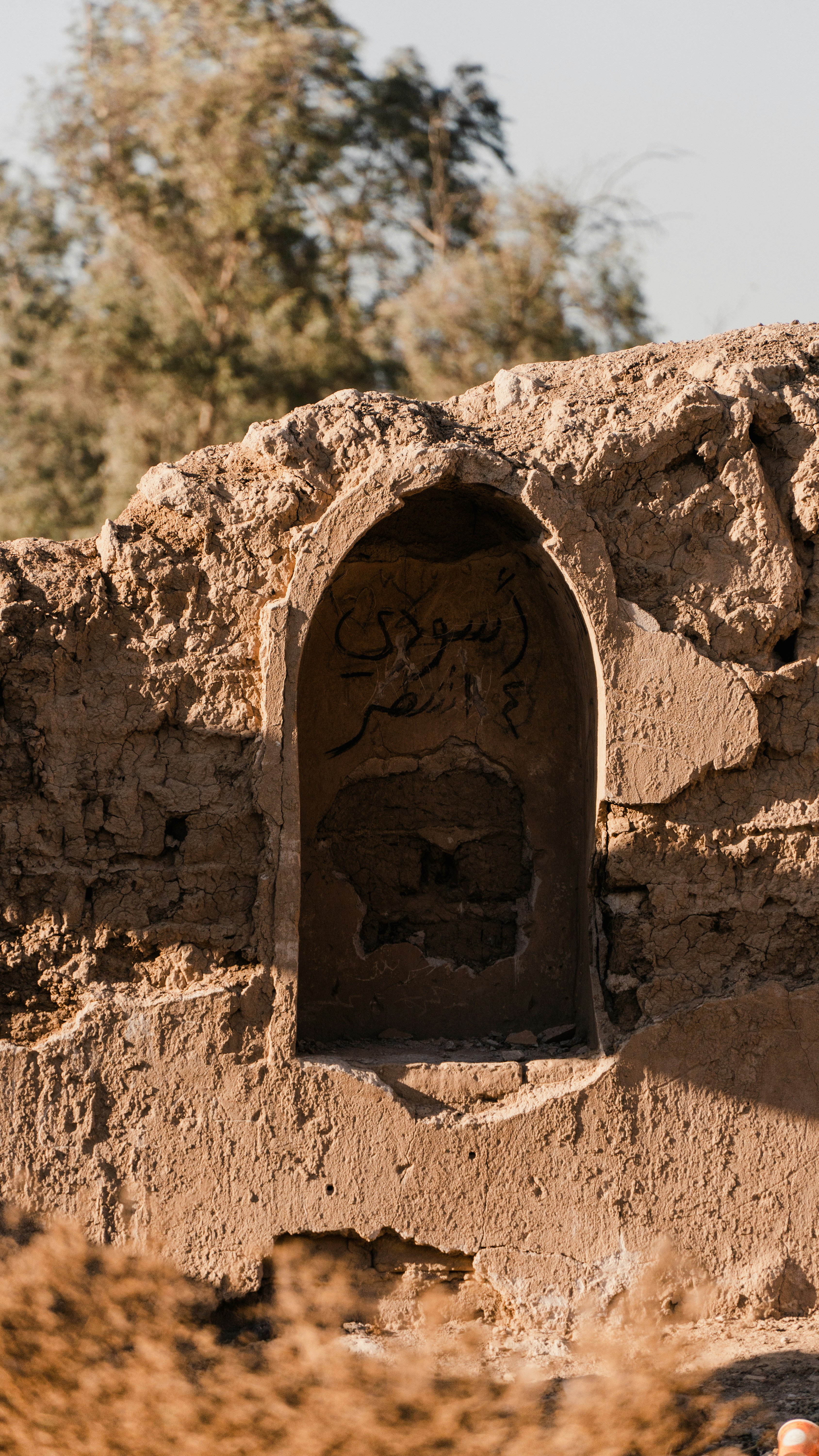 Photo by mrgreatheart