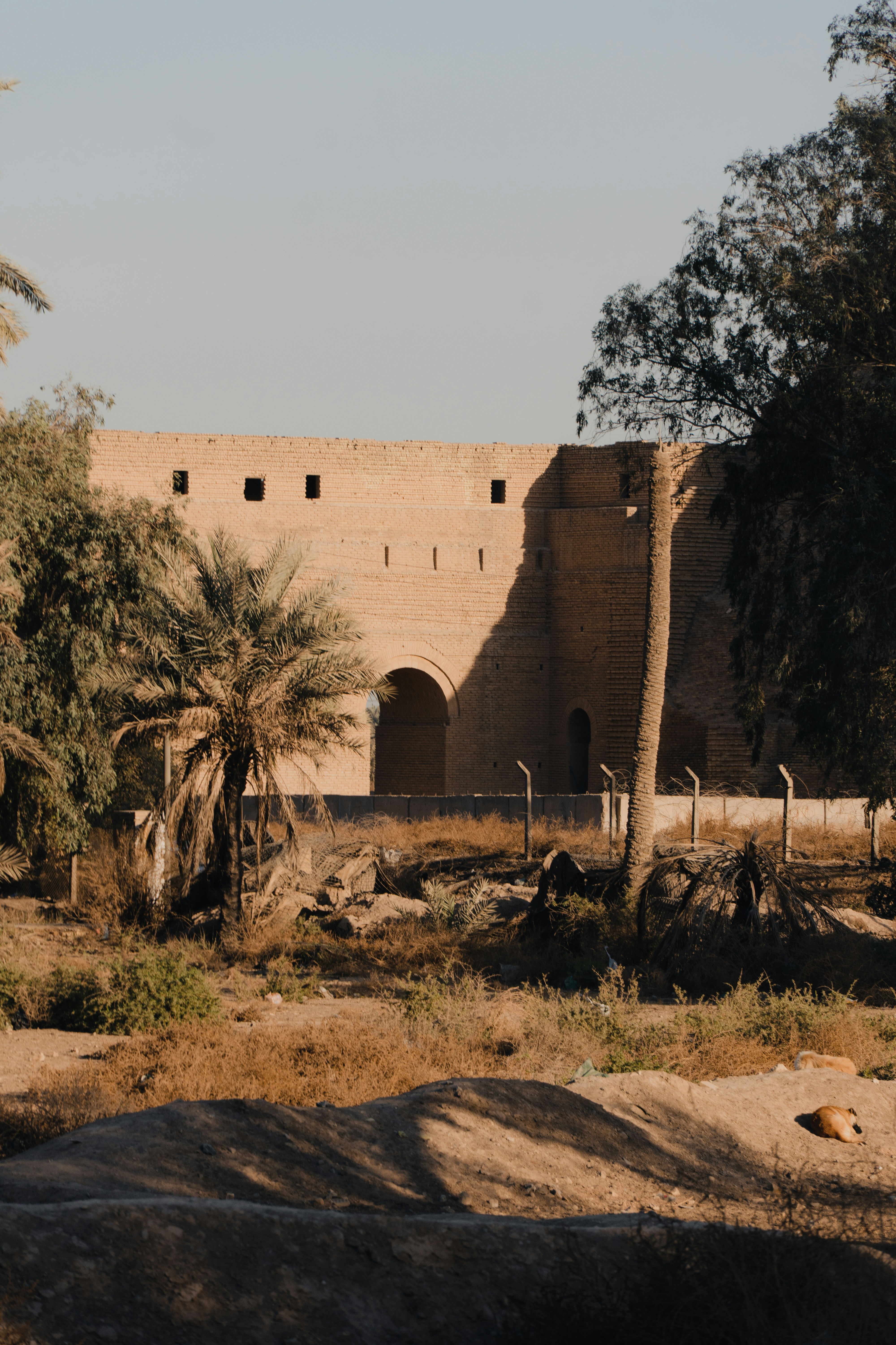 Photo by mrgreatheart