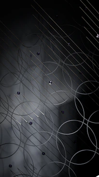 a black and white photo of circles and lines