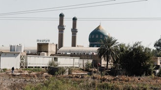 A mosque with two minarets and a large green dome is set against a clear sky. The foreground includes various buildings with metallic structures, and there is a mix of vegetation such as a prominent palm tree. Power lines run across the scene above the mosque.