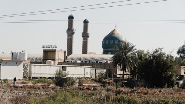 A mosque with two minarets and a large green dome is set against a clear sky. The foreground includes various buildings with metallic structures, and there is a mix of vegetation such as a prominent palm tree. Power lines run across the scene above the mosque.