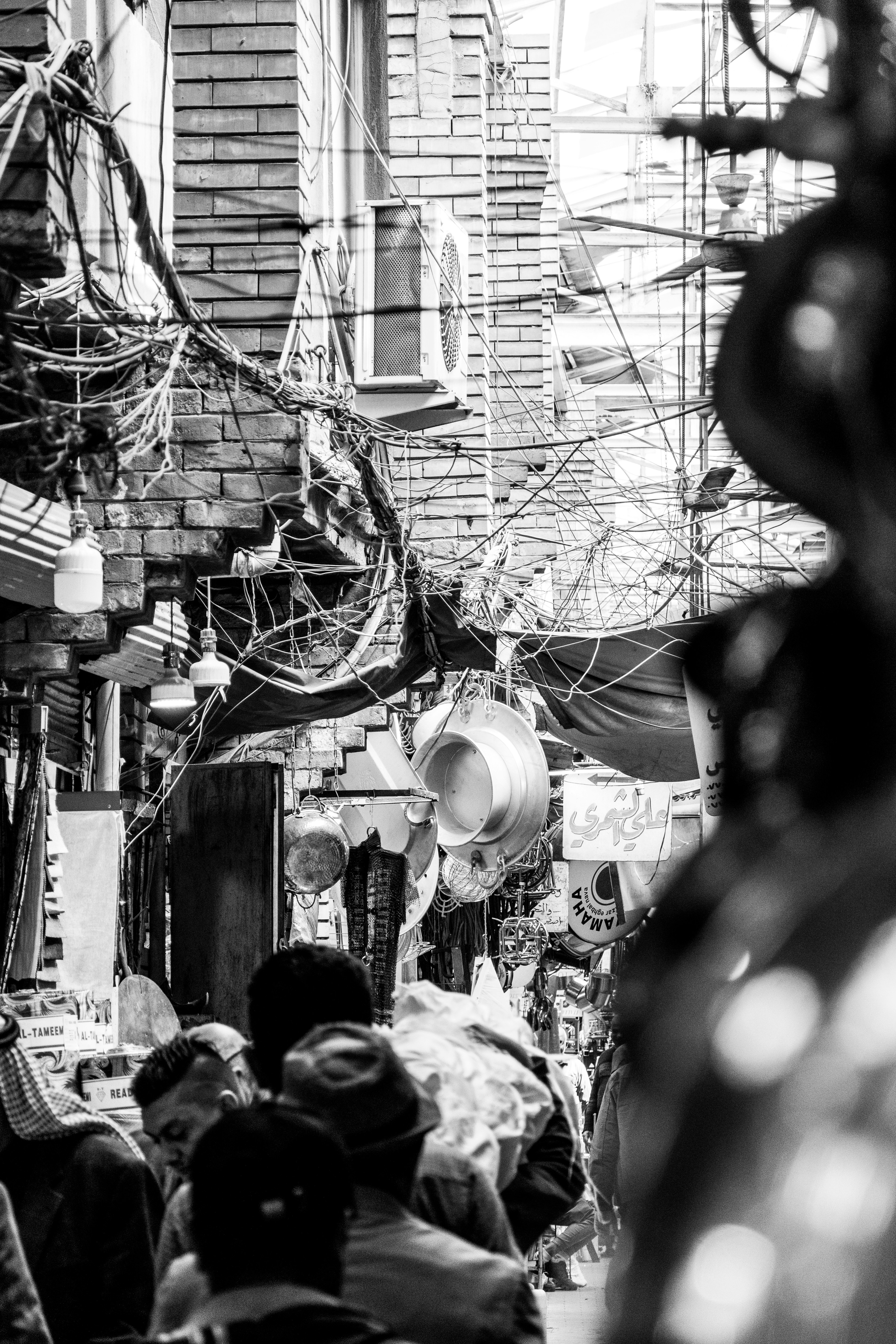 Photo by mrgreatheart