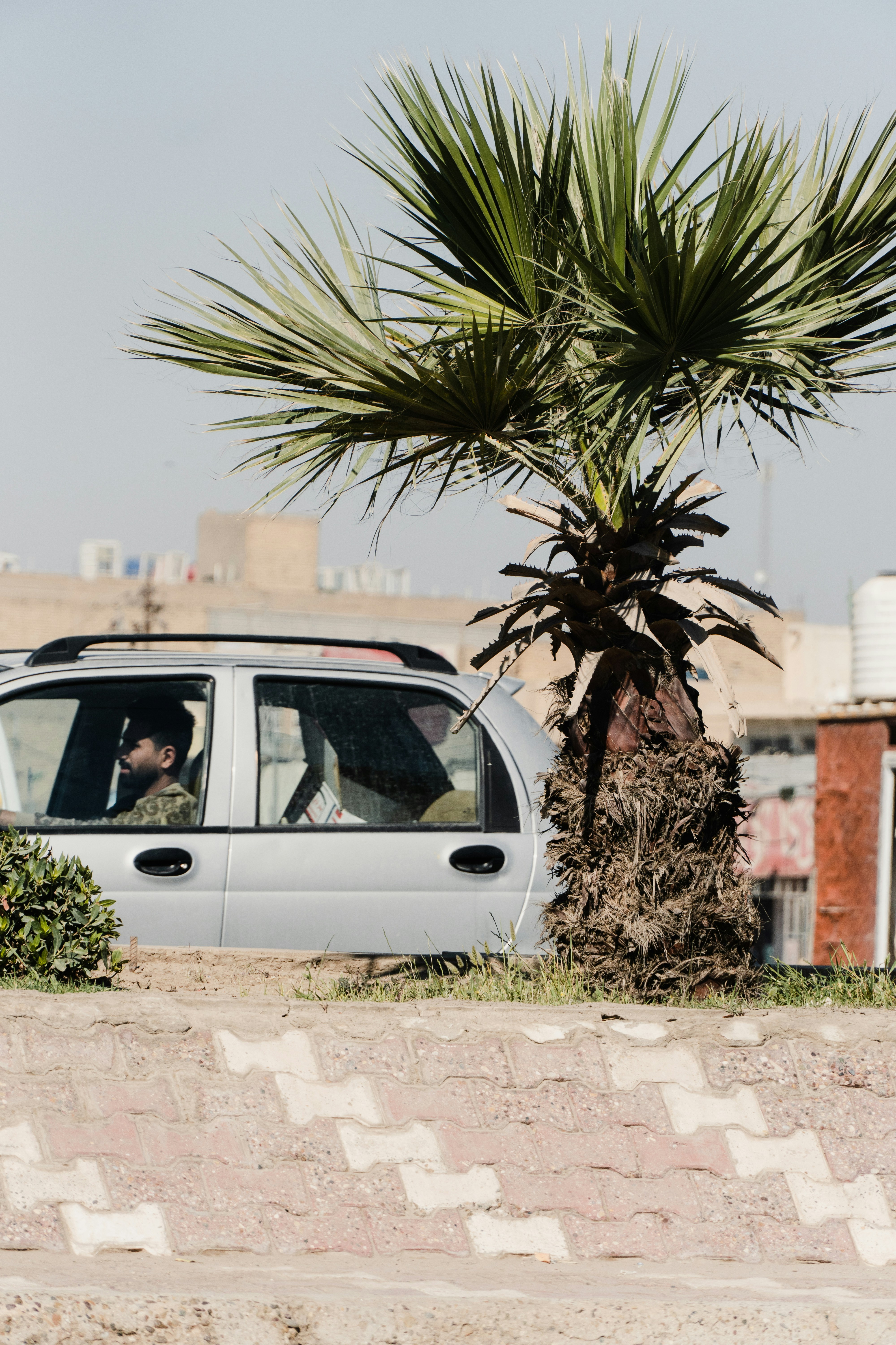 Photo by mrgreatheart