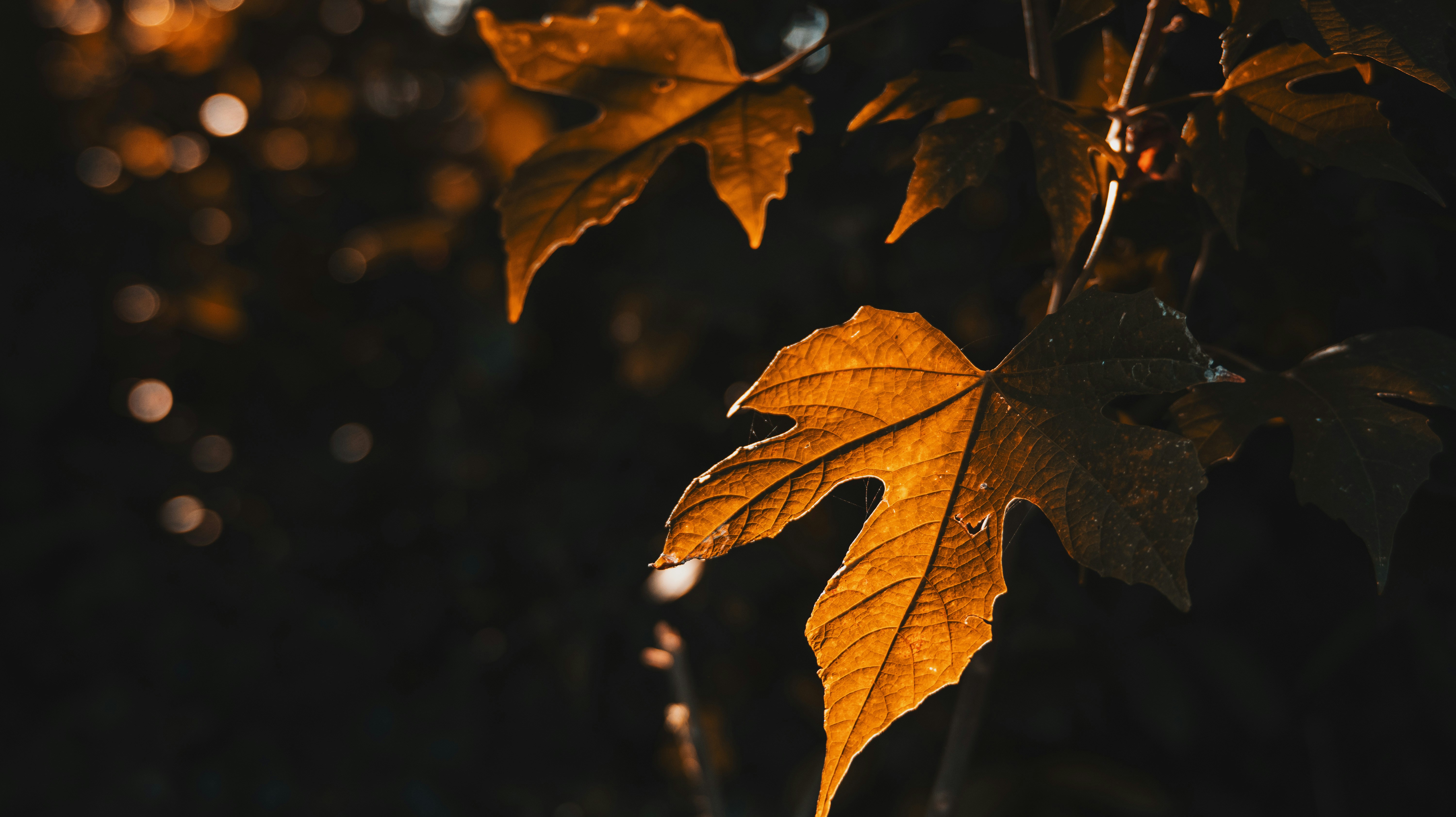 Photo by roadahead_2223