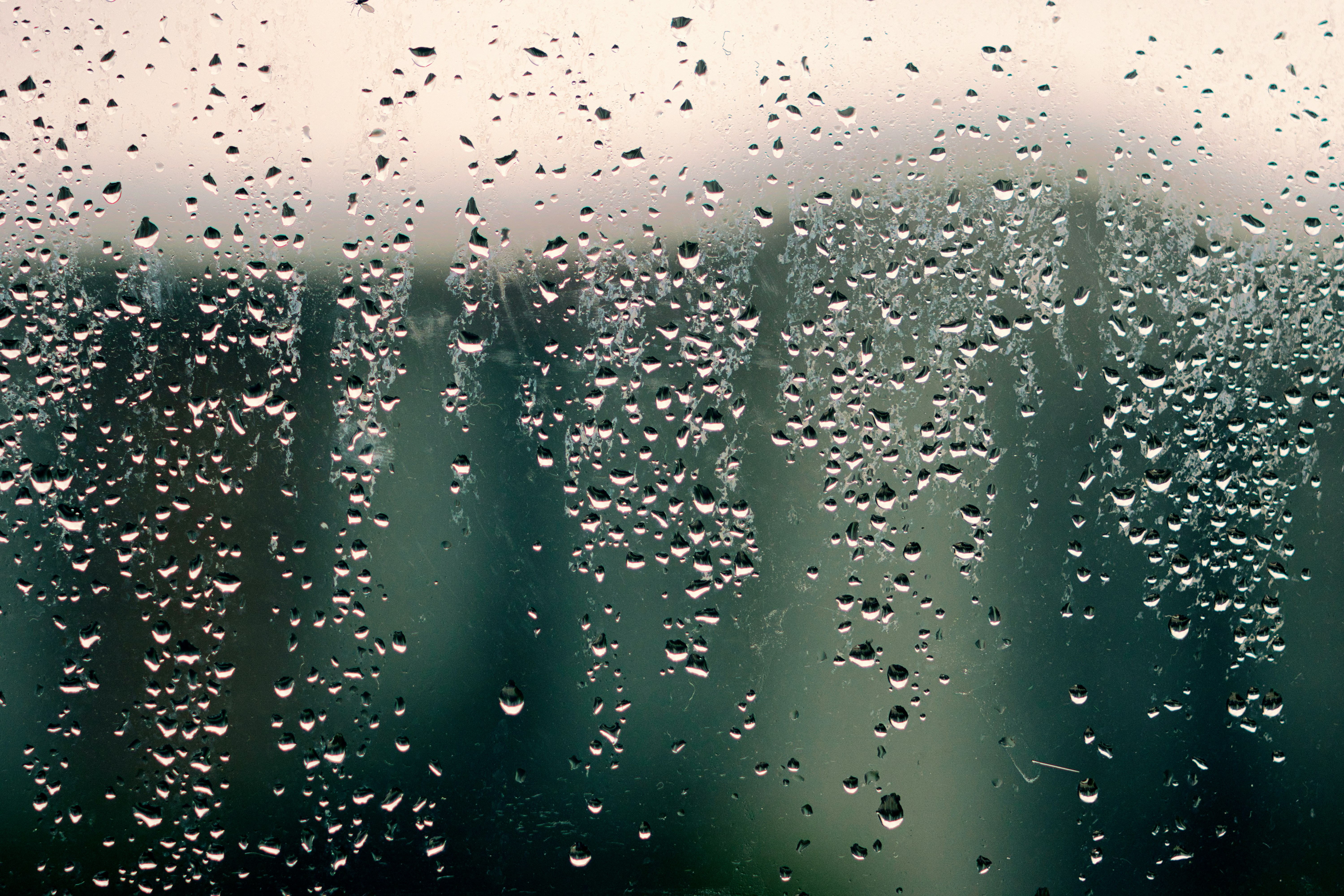 Photo by thomaskinto