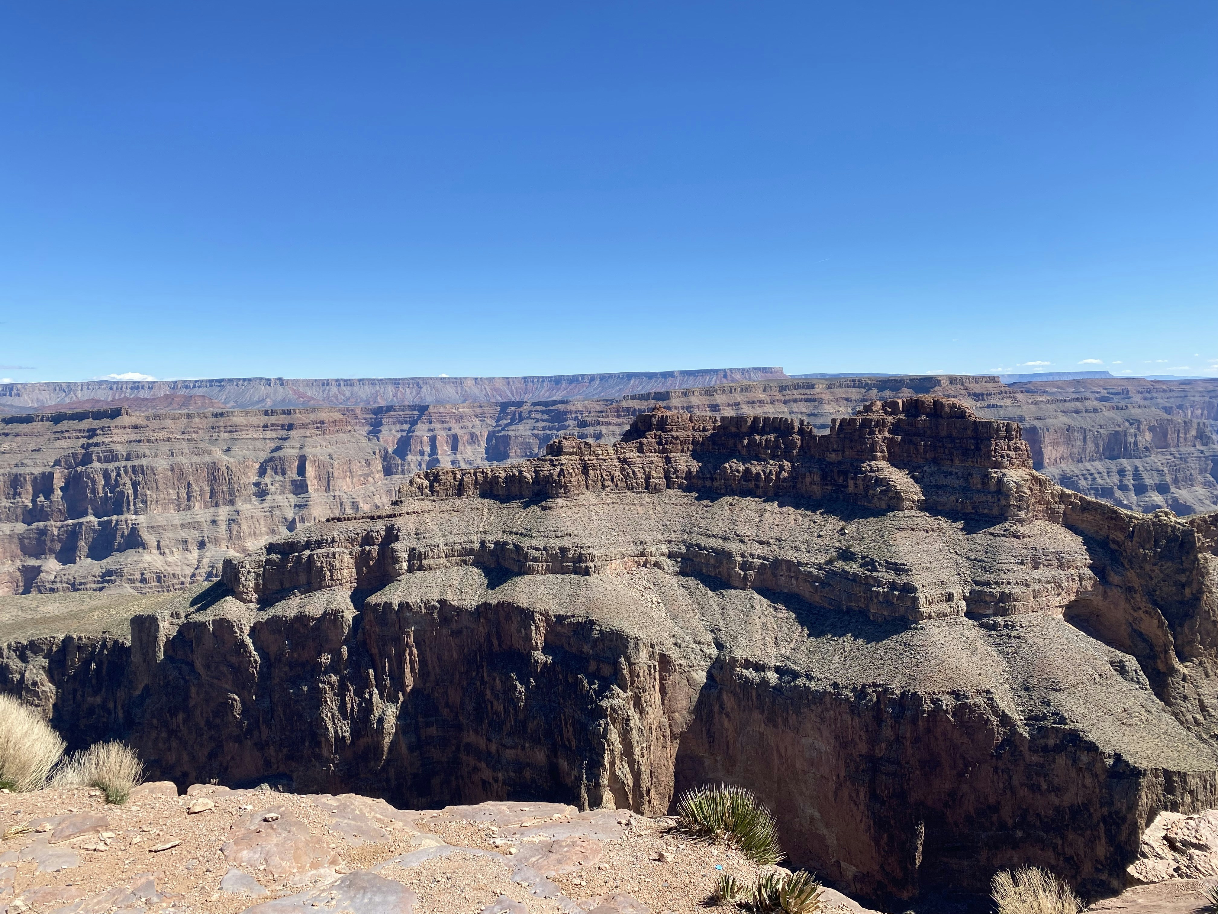 Photo by antoniosajid