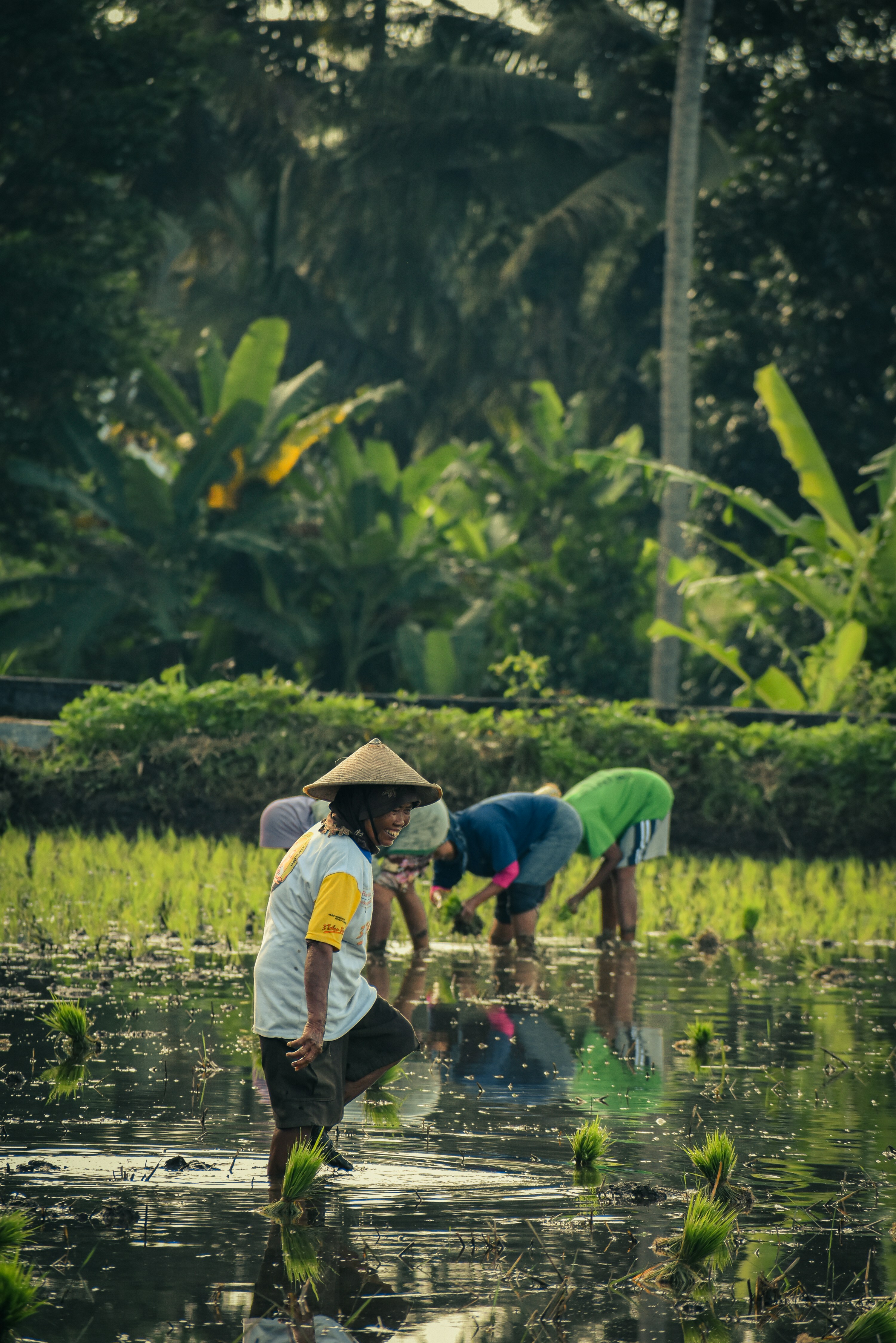 a group of people standing on top of a lush green field