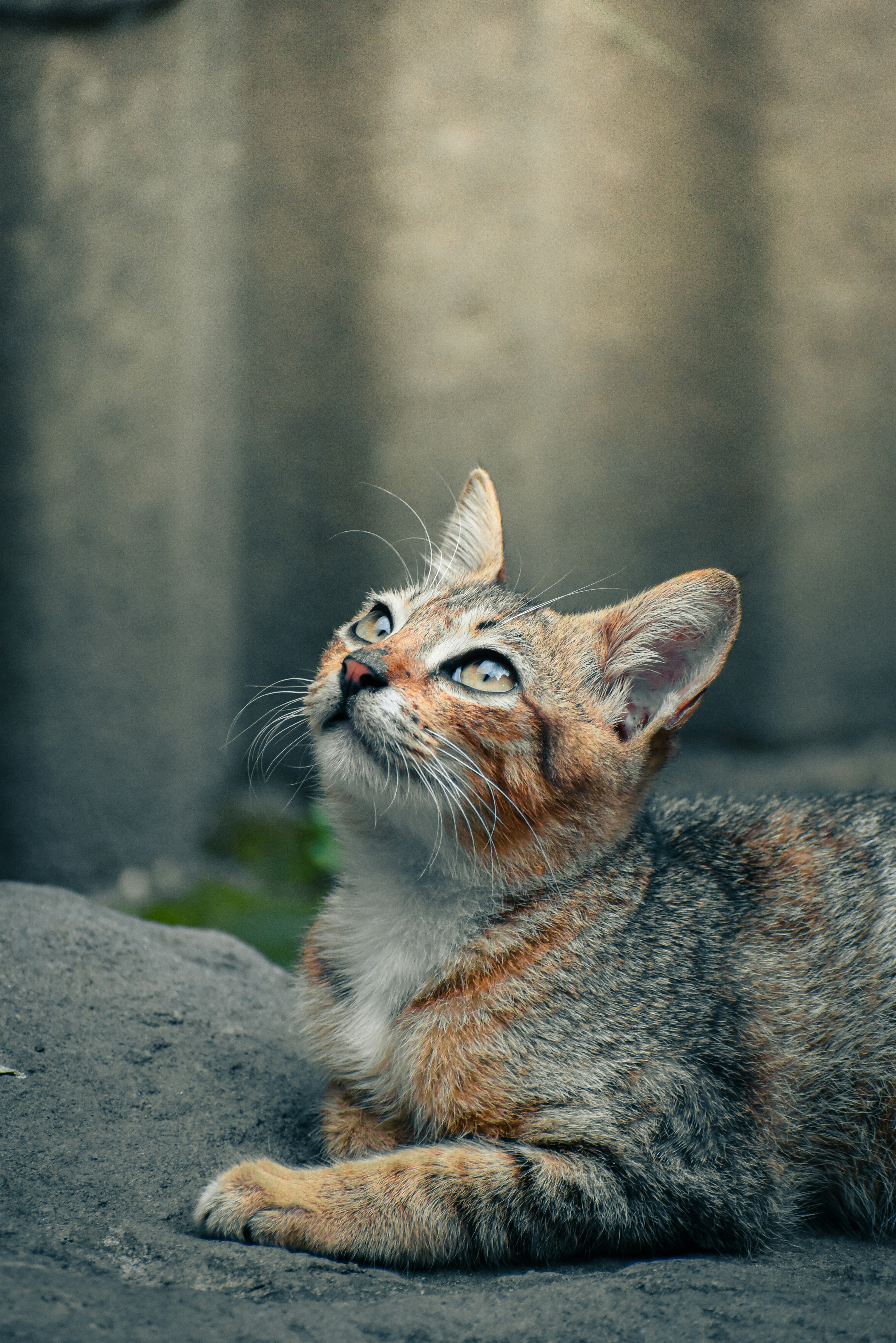 Photo by mdzcomicart