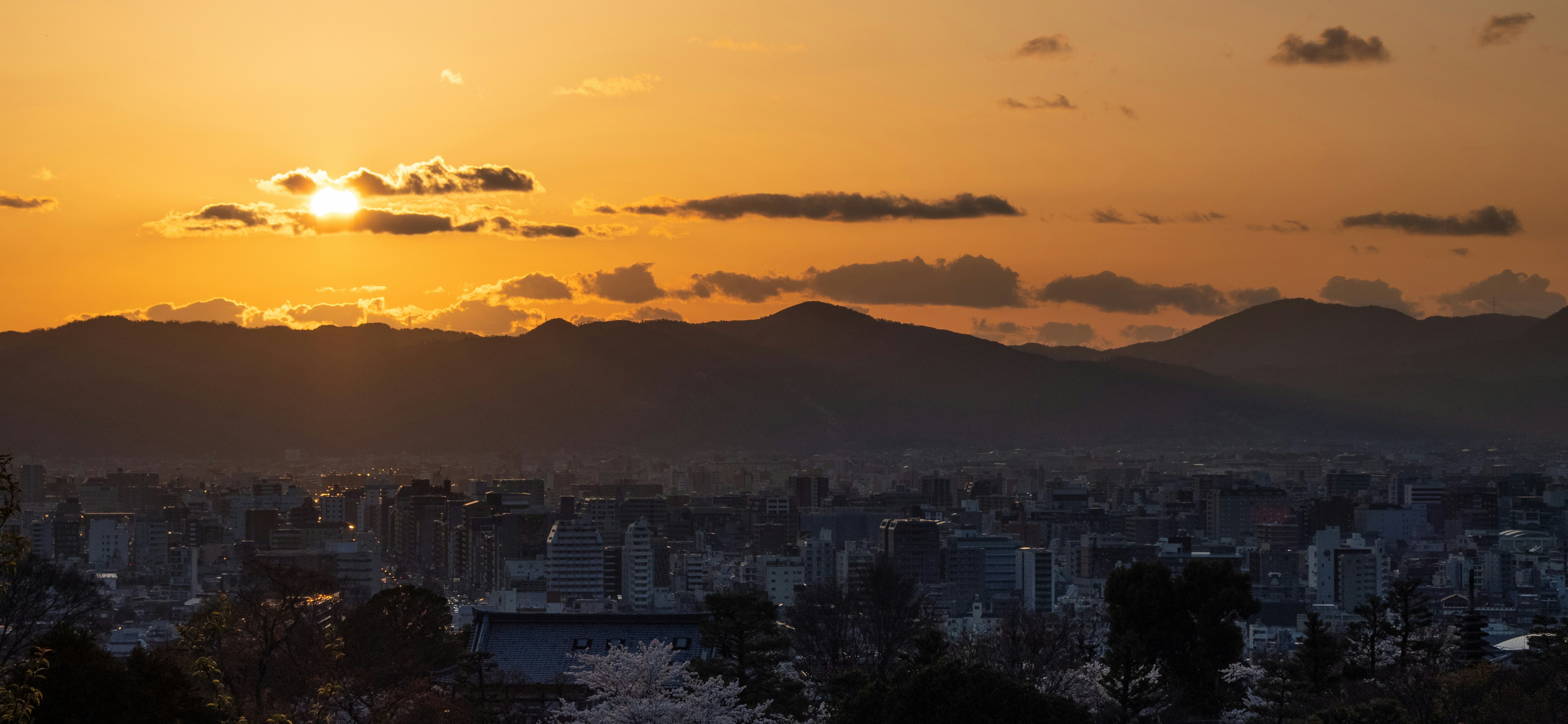 Photo by shellingfordyu