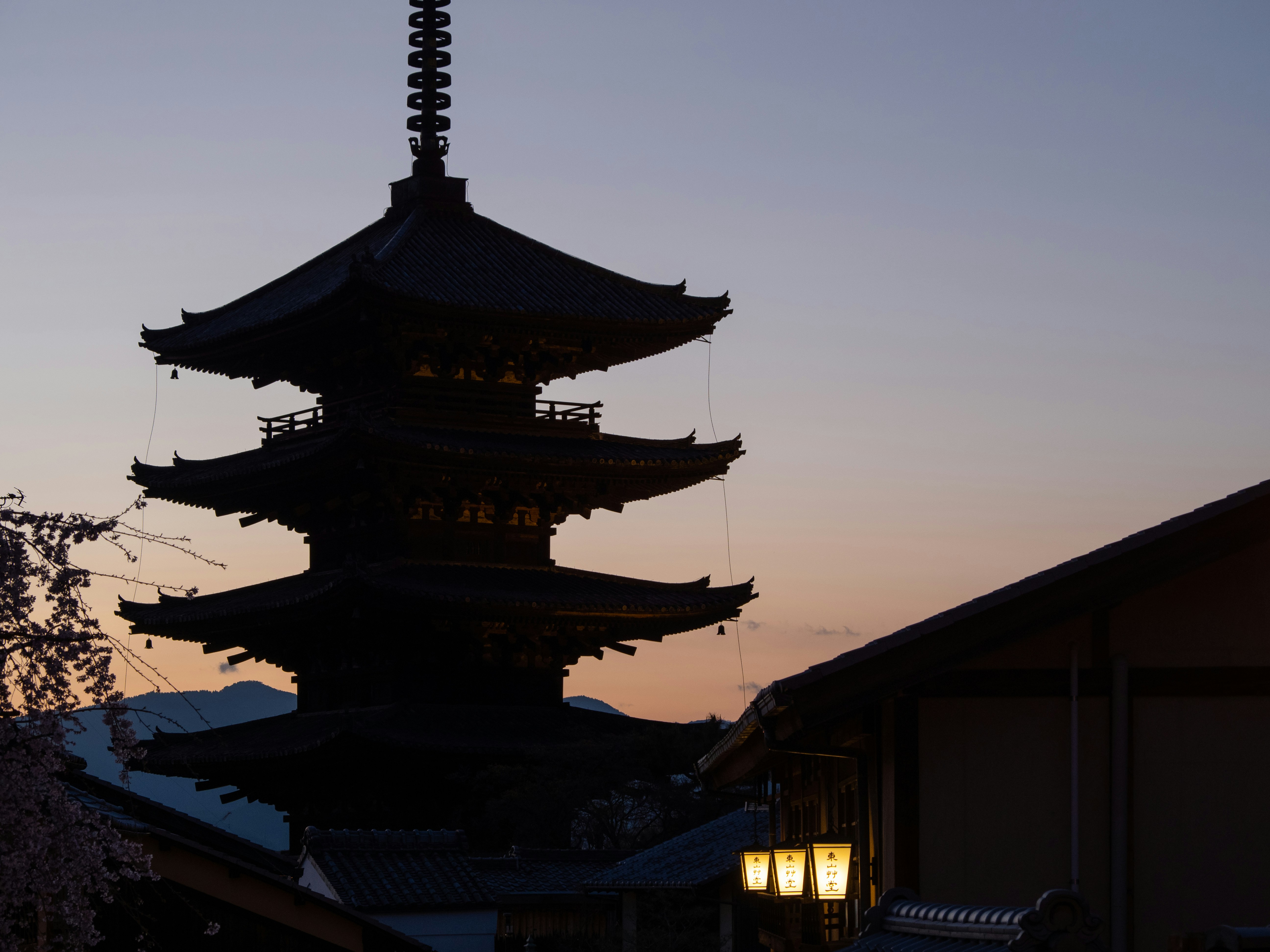 Photo by shellingfordyu