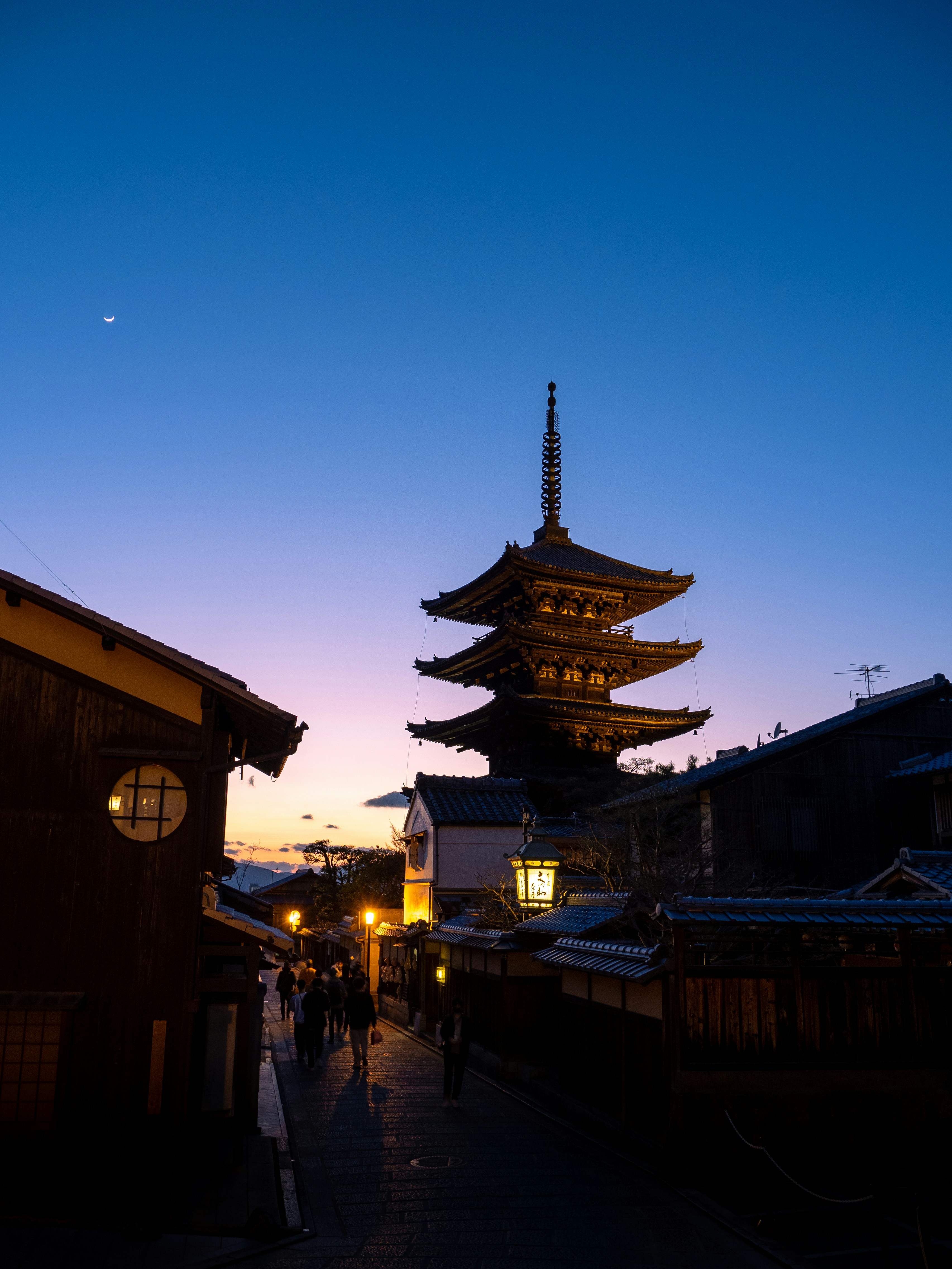 Photo by shellingfordyu