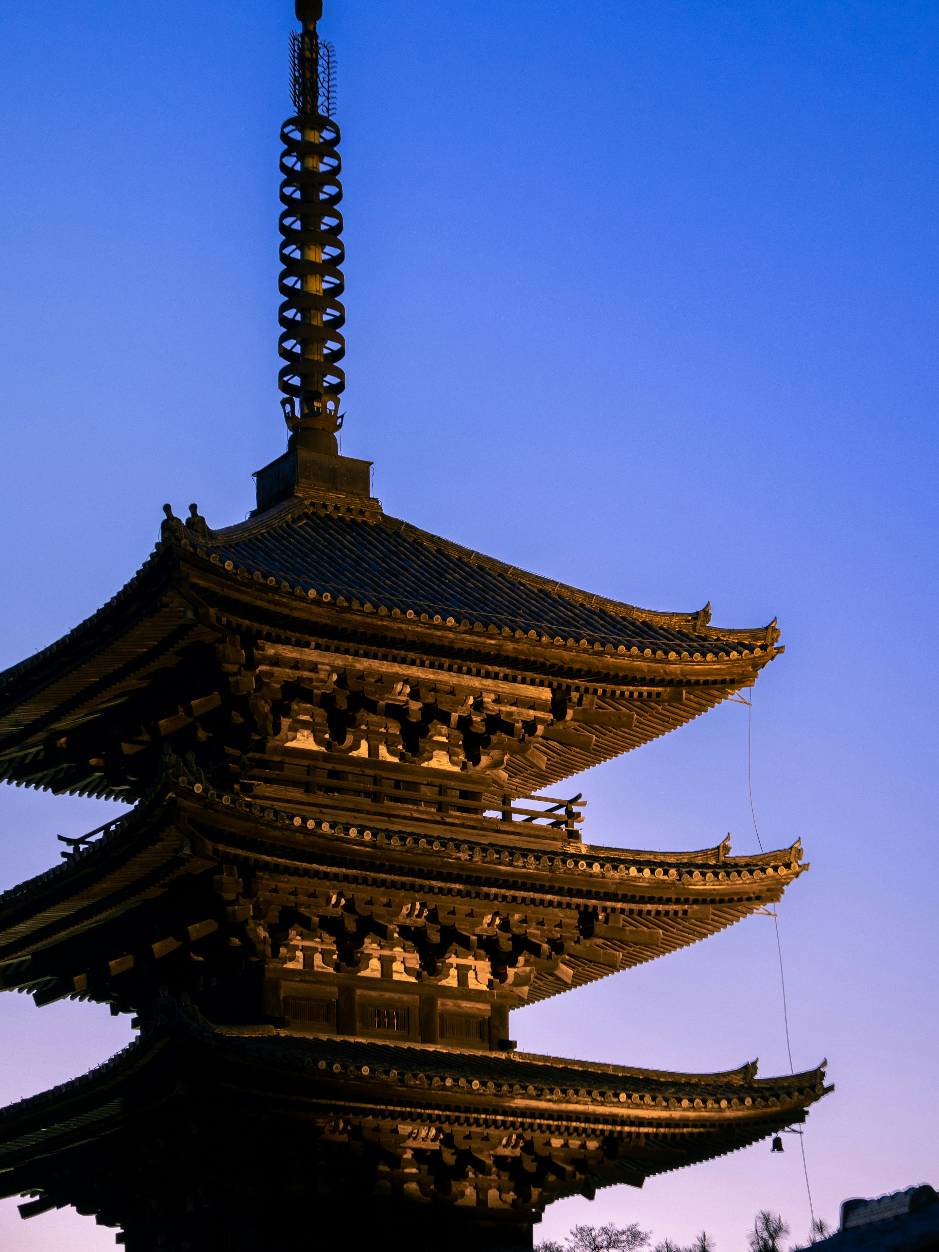 Photo by shellingfordyu