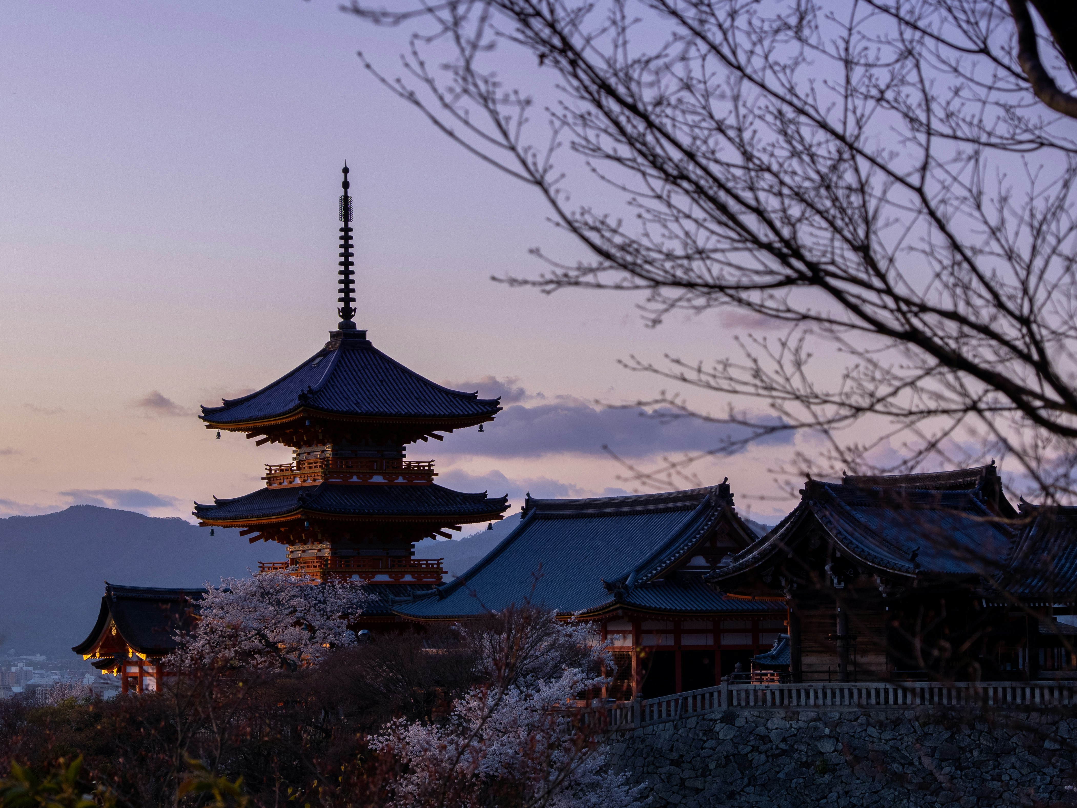 Photo by shellingfordyu