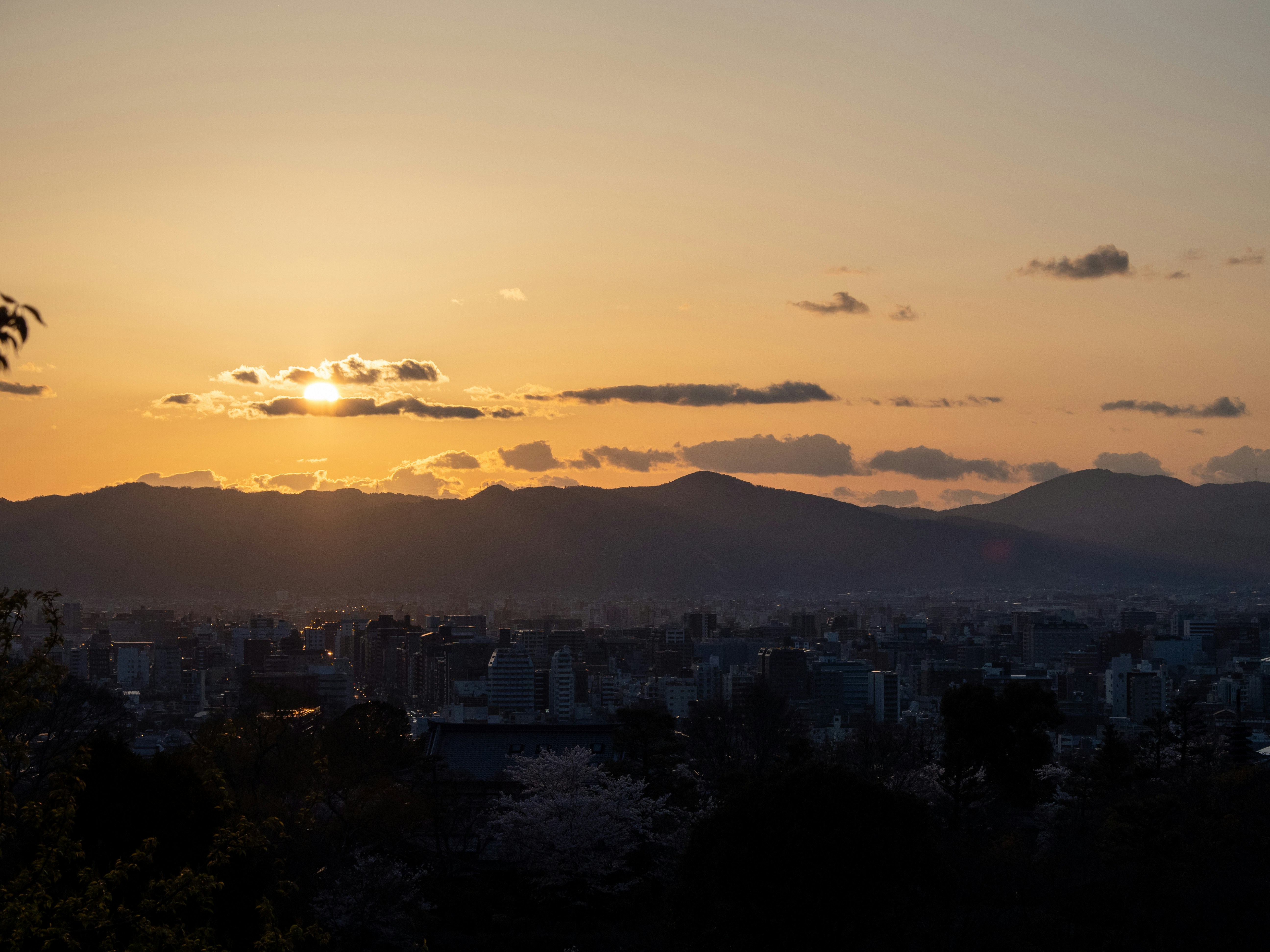 Photo by shellingfordyu