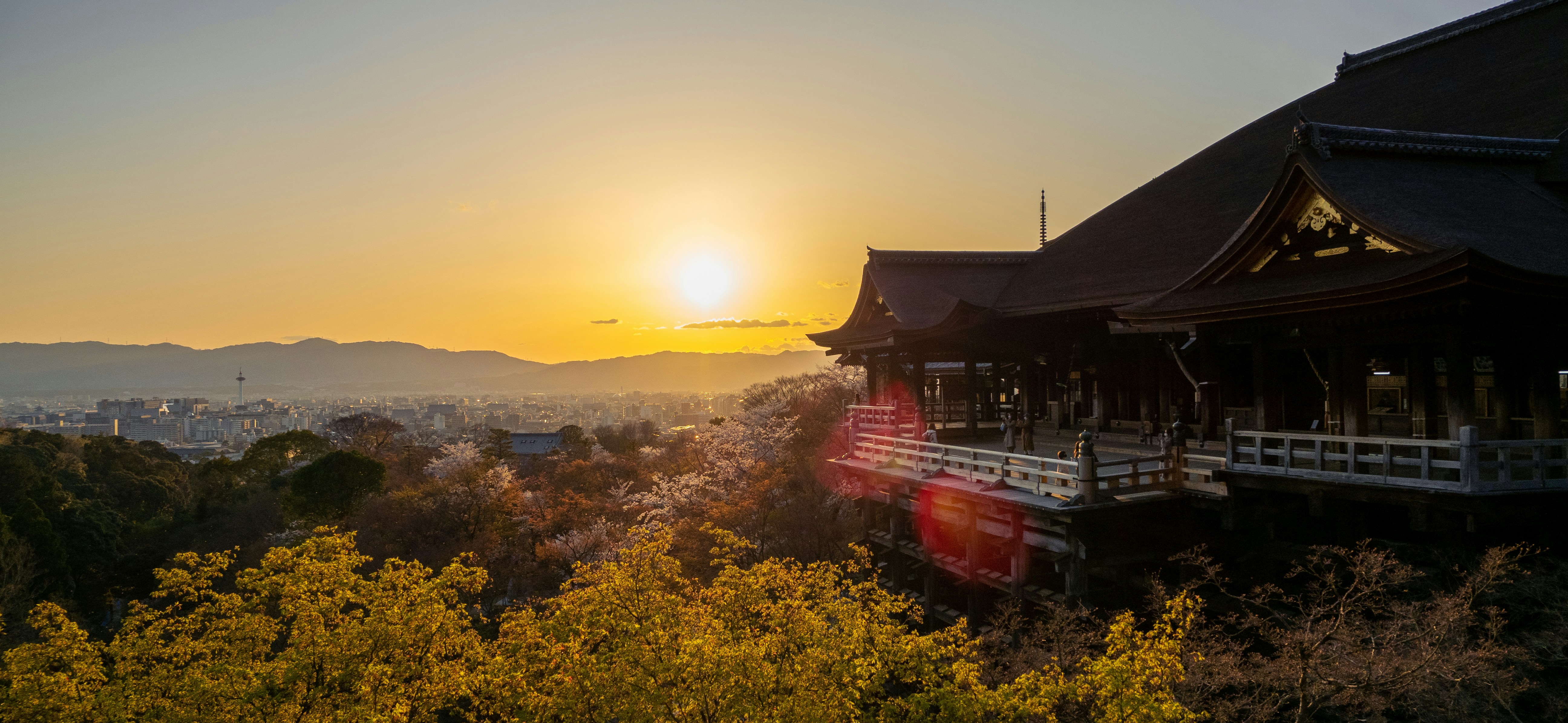 Photo by shellingfordyu