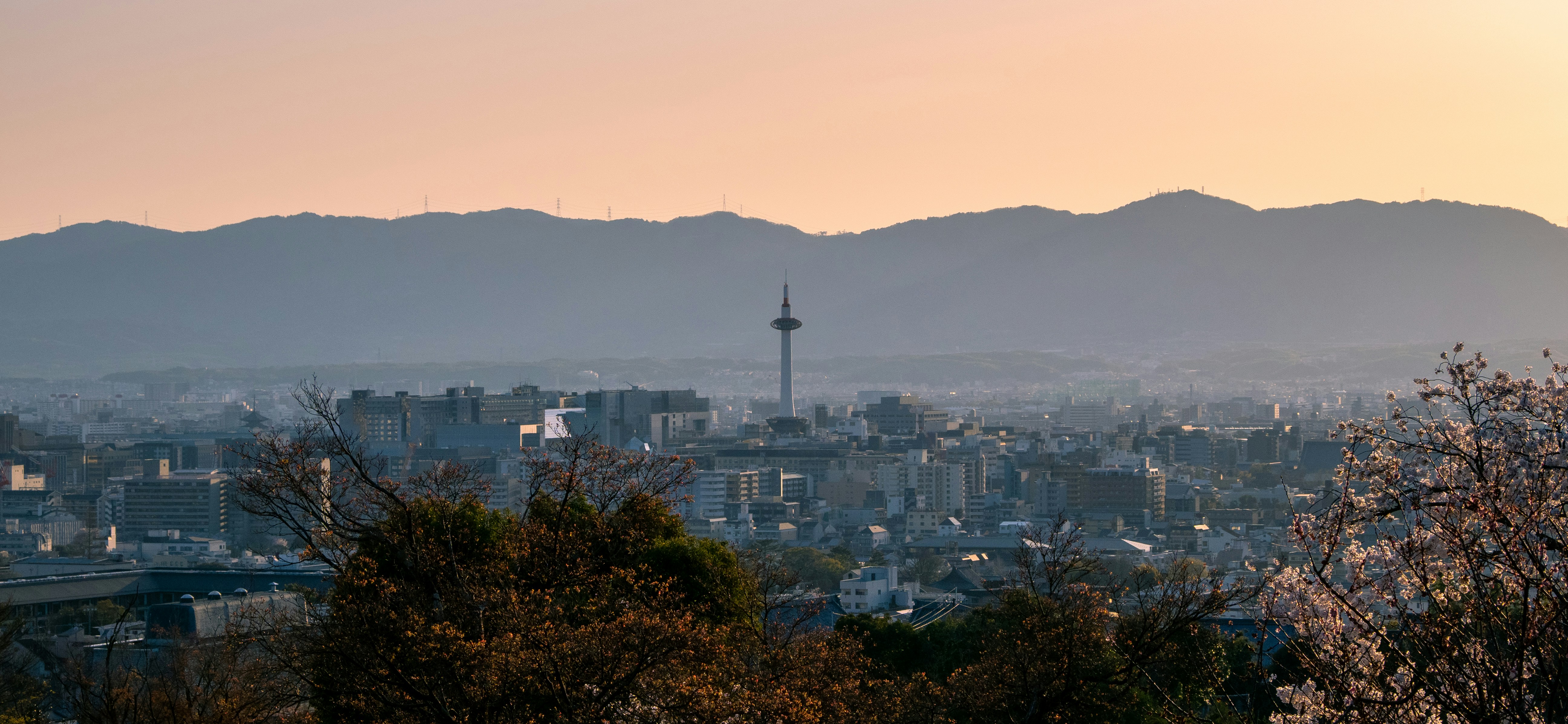 Photo by shellingfordyu