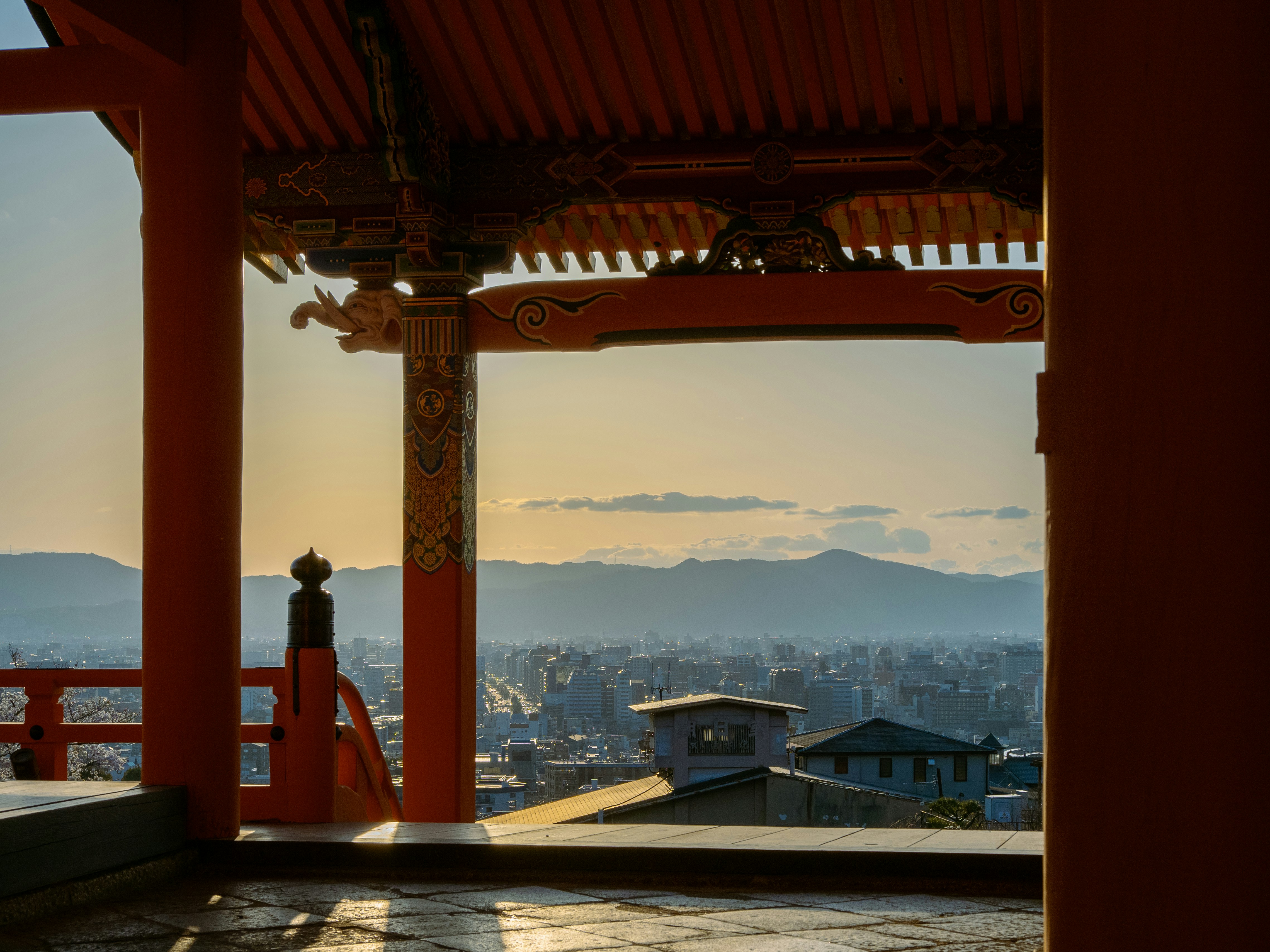 Photo by shellingfordyu