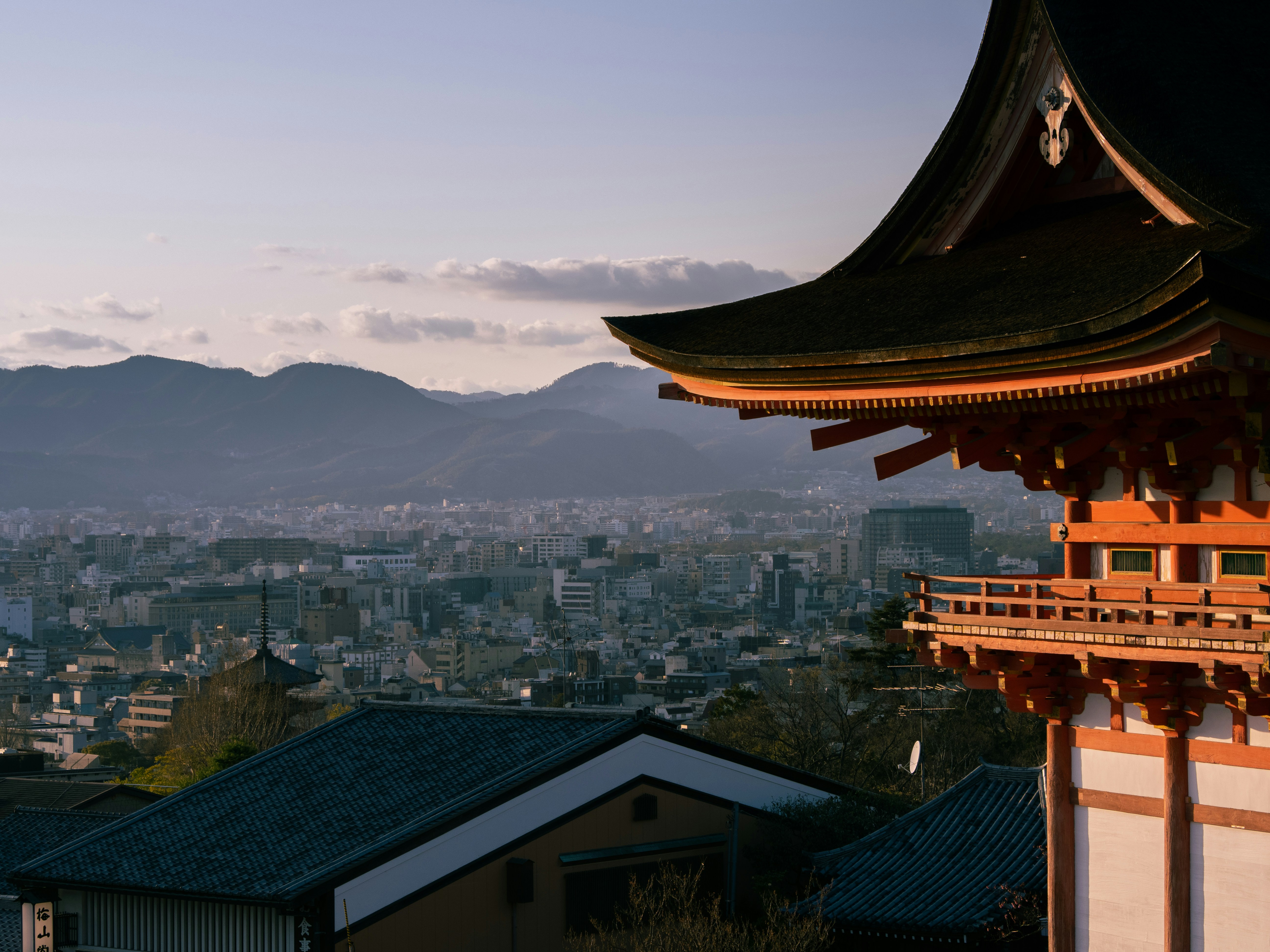 Photo by shellingfordyu