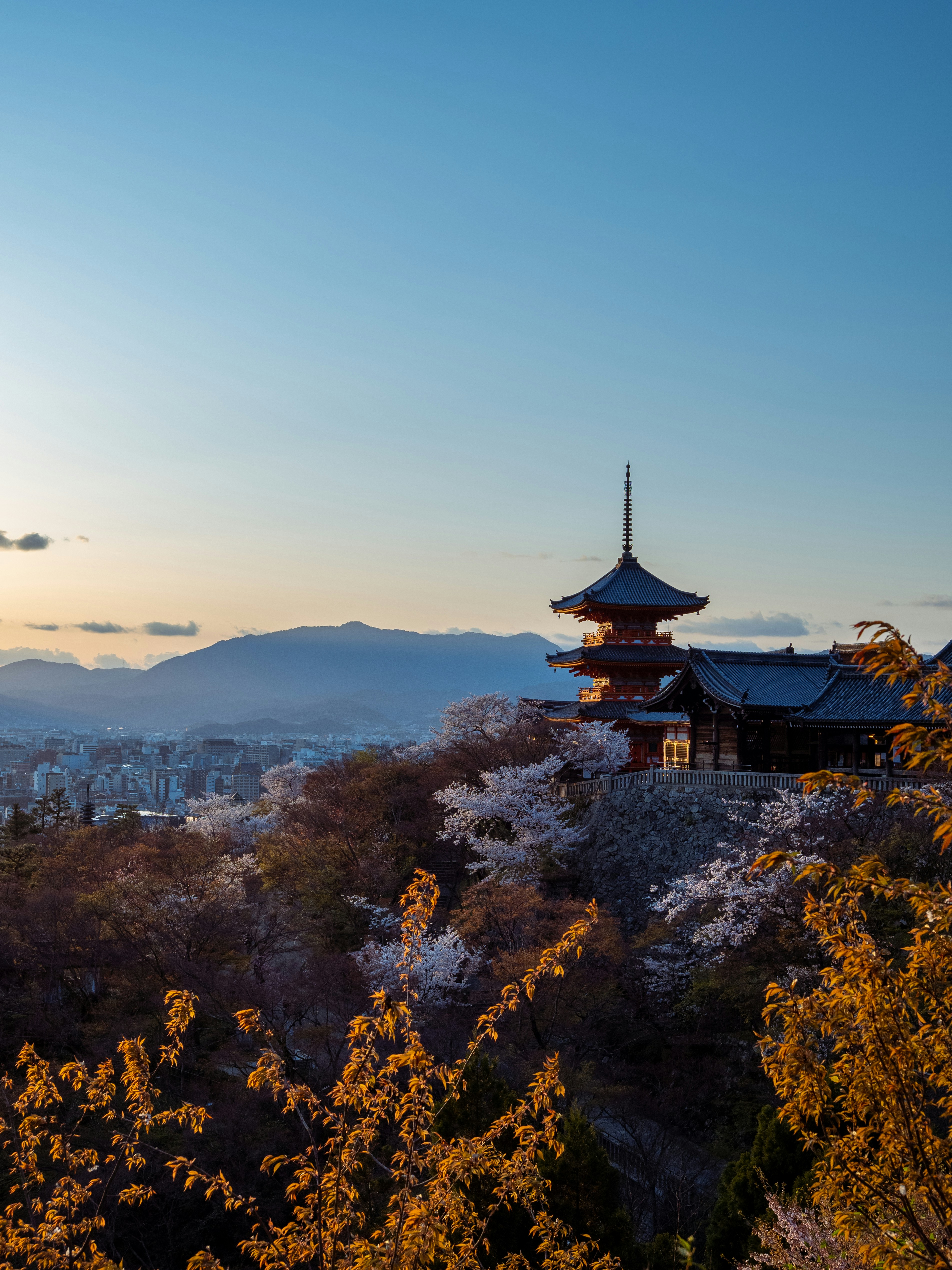 Photo by shellingfordyu