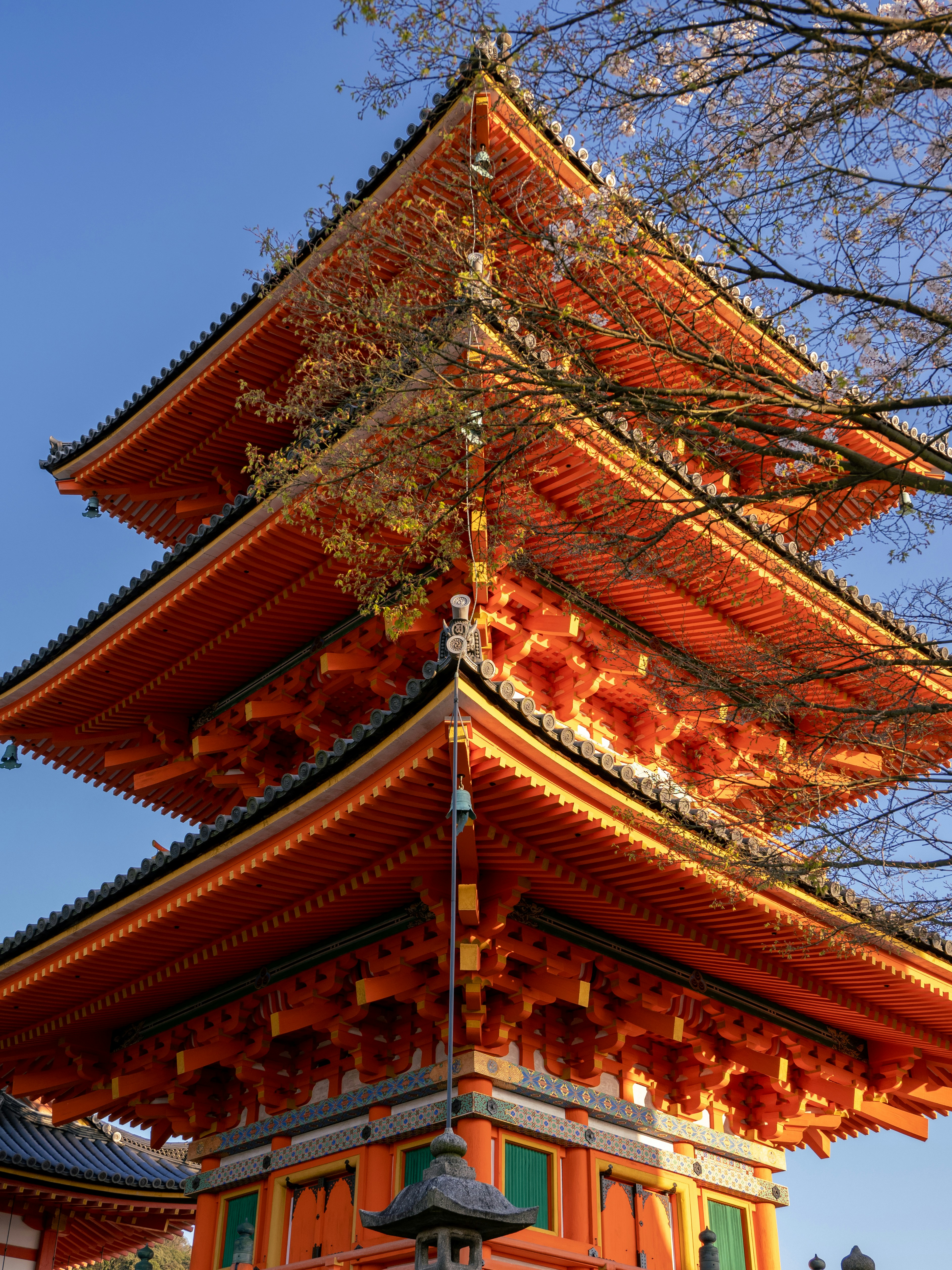 Photo by shellingfordyu