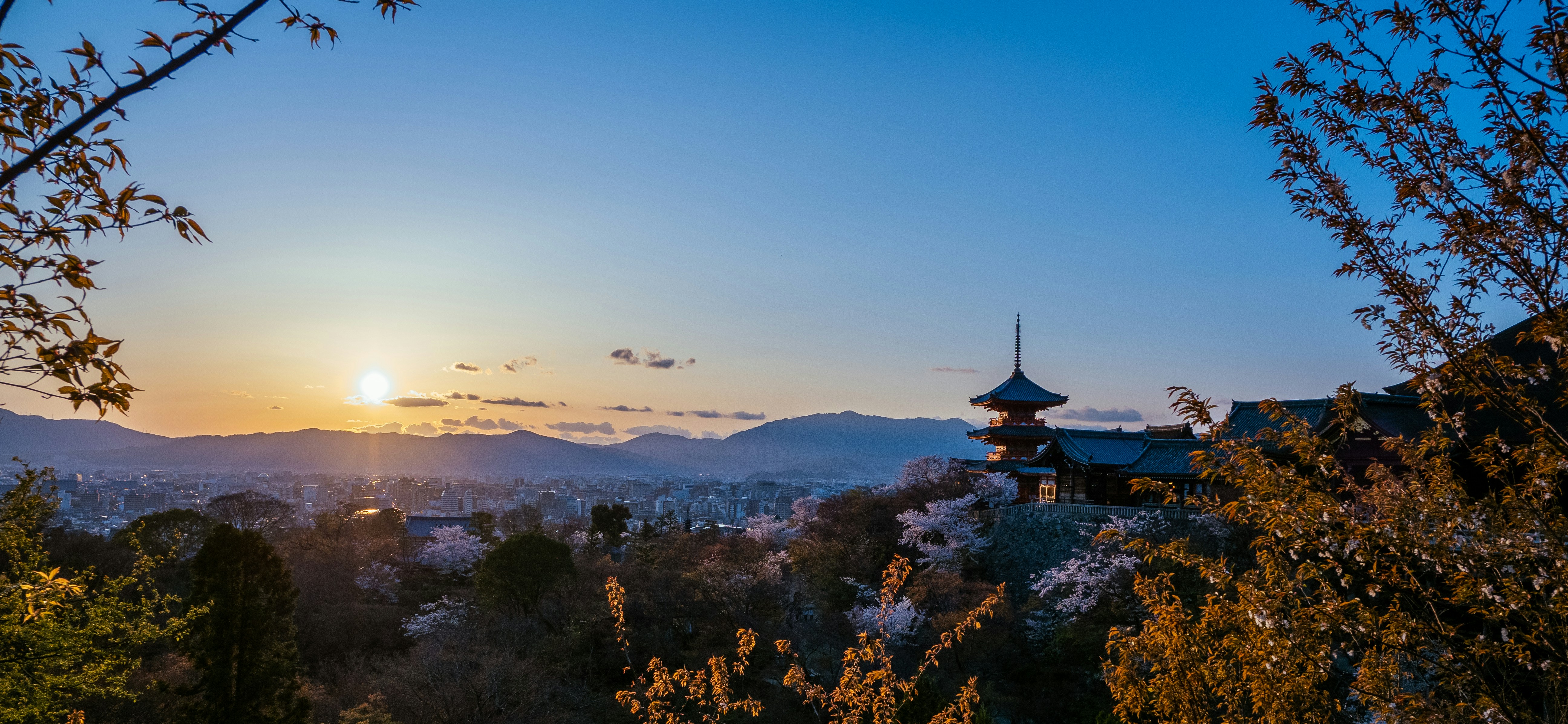 Photo by shellingfordyu